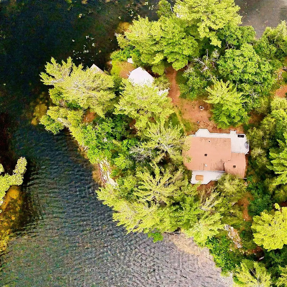 2295 Stony Lake Isl 17