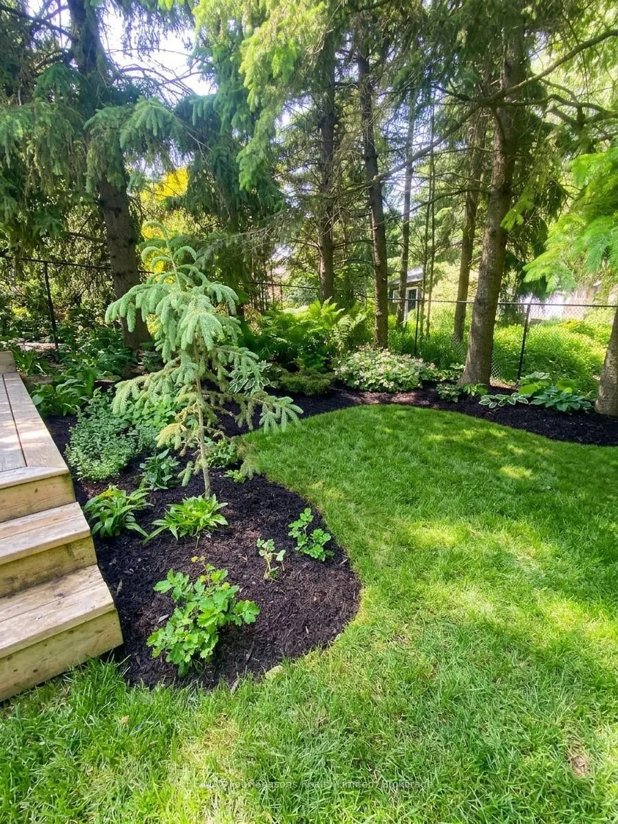 50 Amaranth Street W