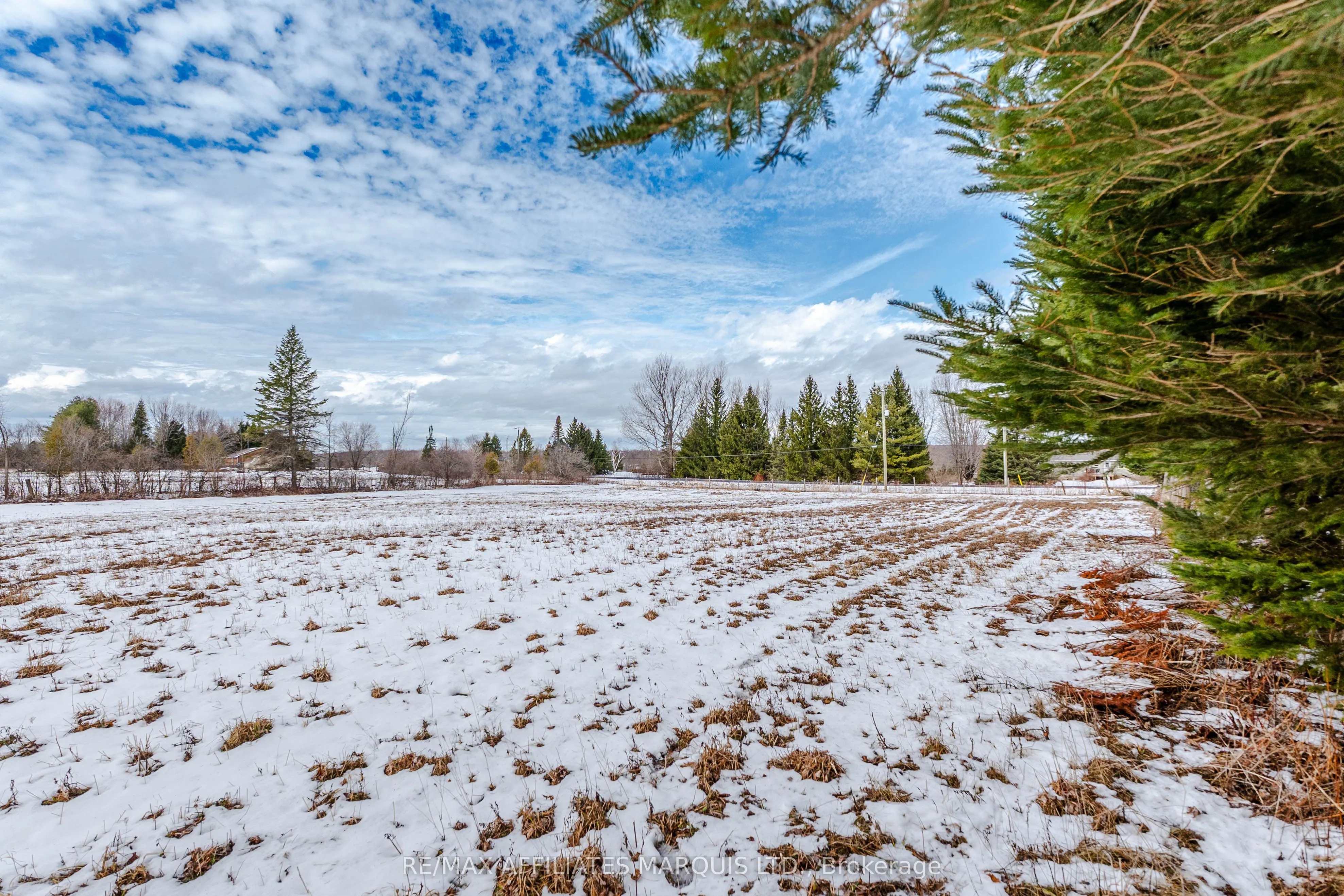 LOT Black River Road