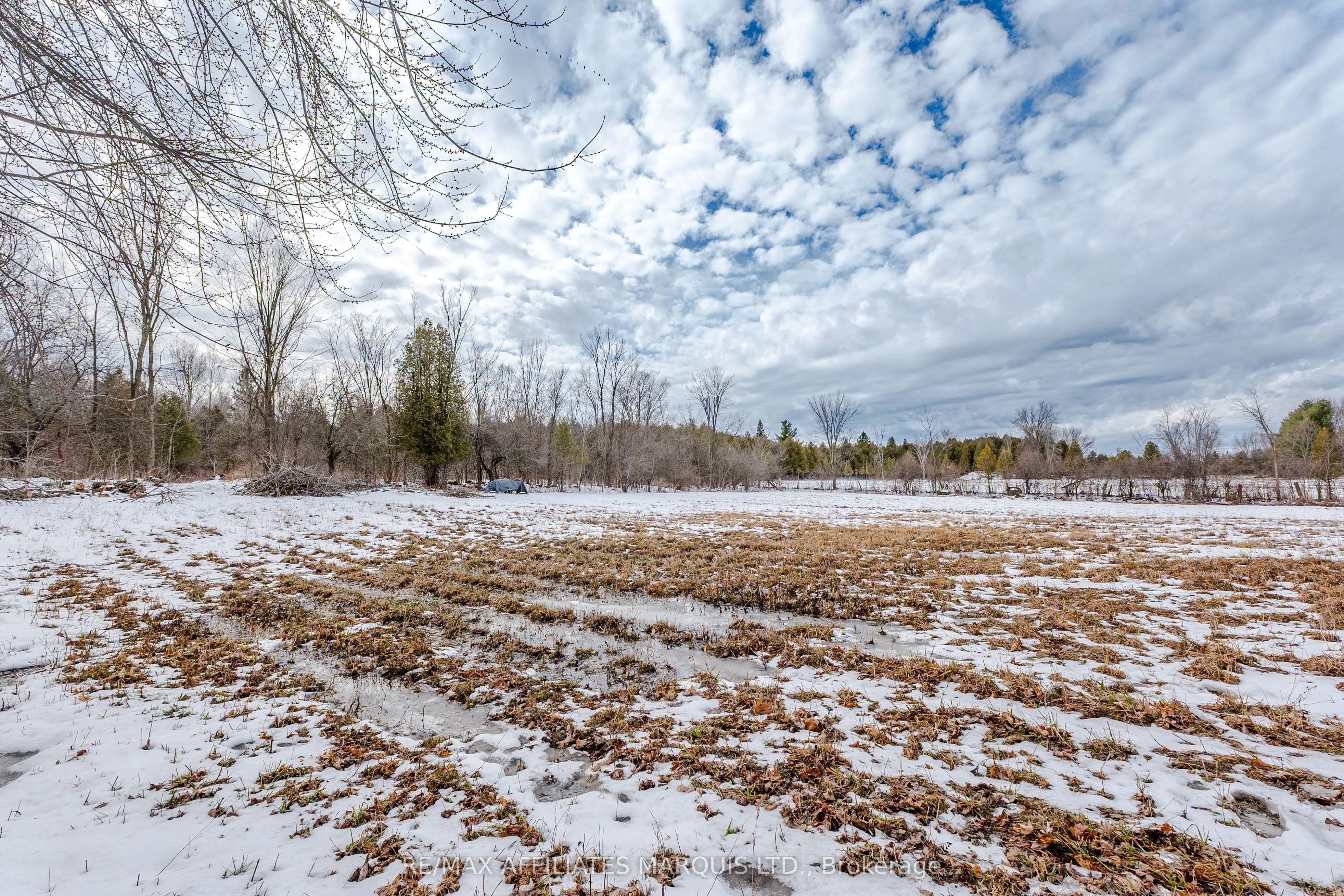 LOT Black River Road