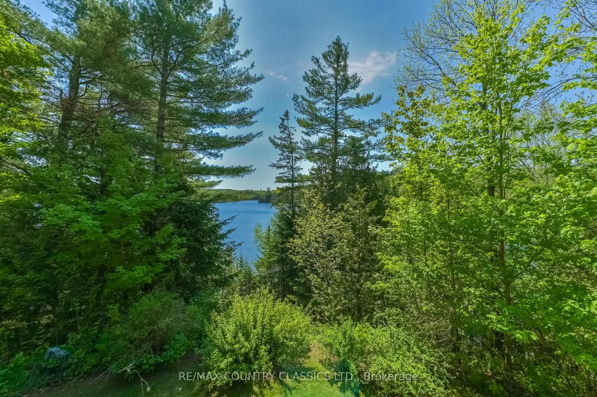 143 Scott Settlement Road
