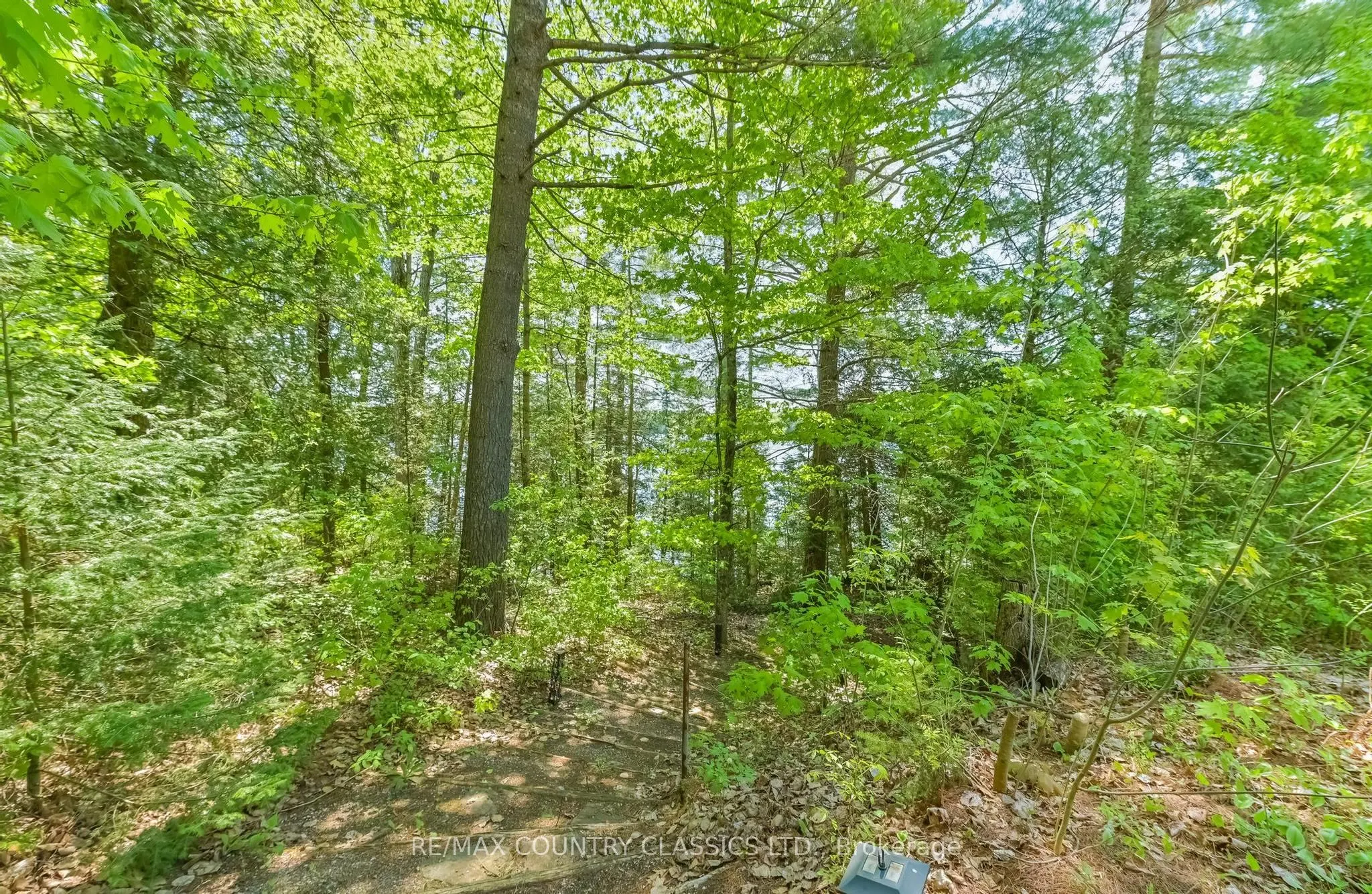 143 Scott Settlement Road
