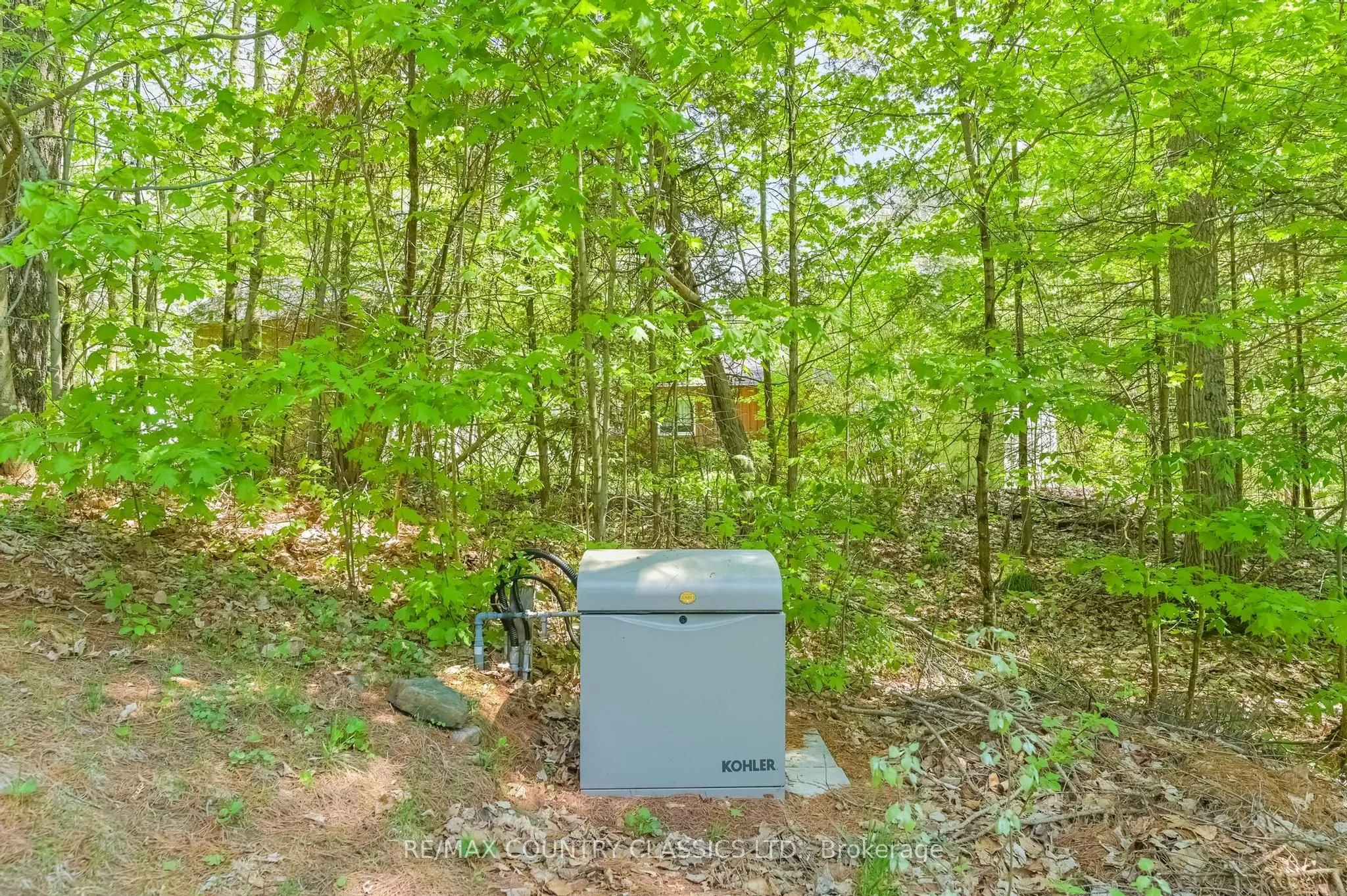 143 Scott Settlement Road