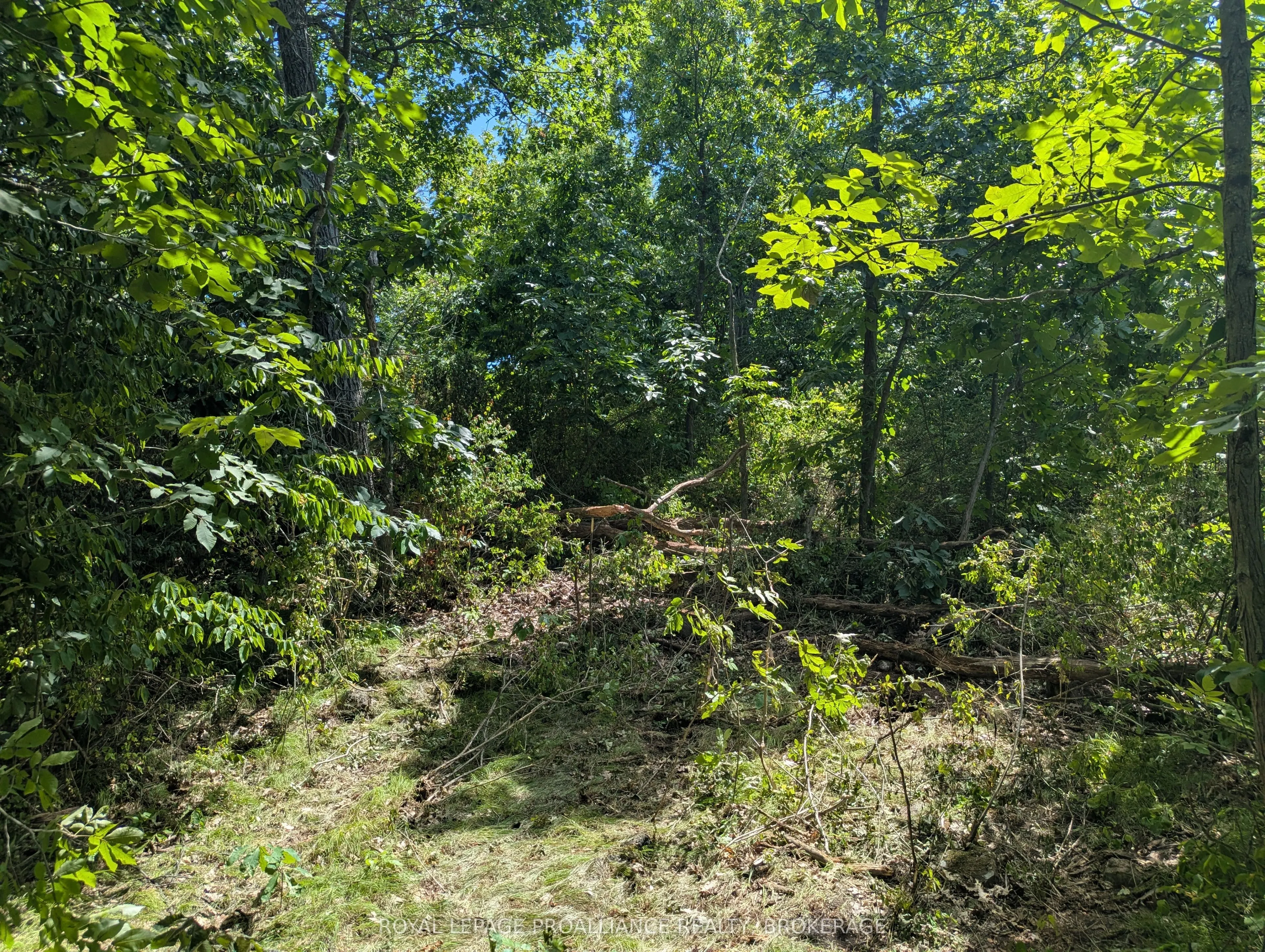 2621 4th Concession Road