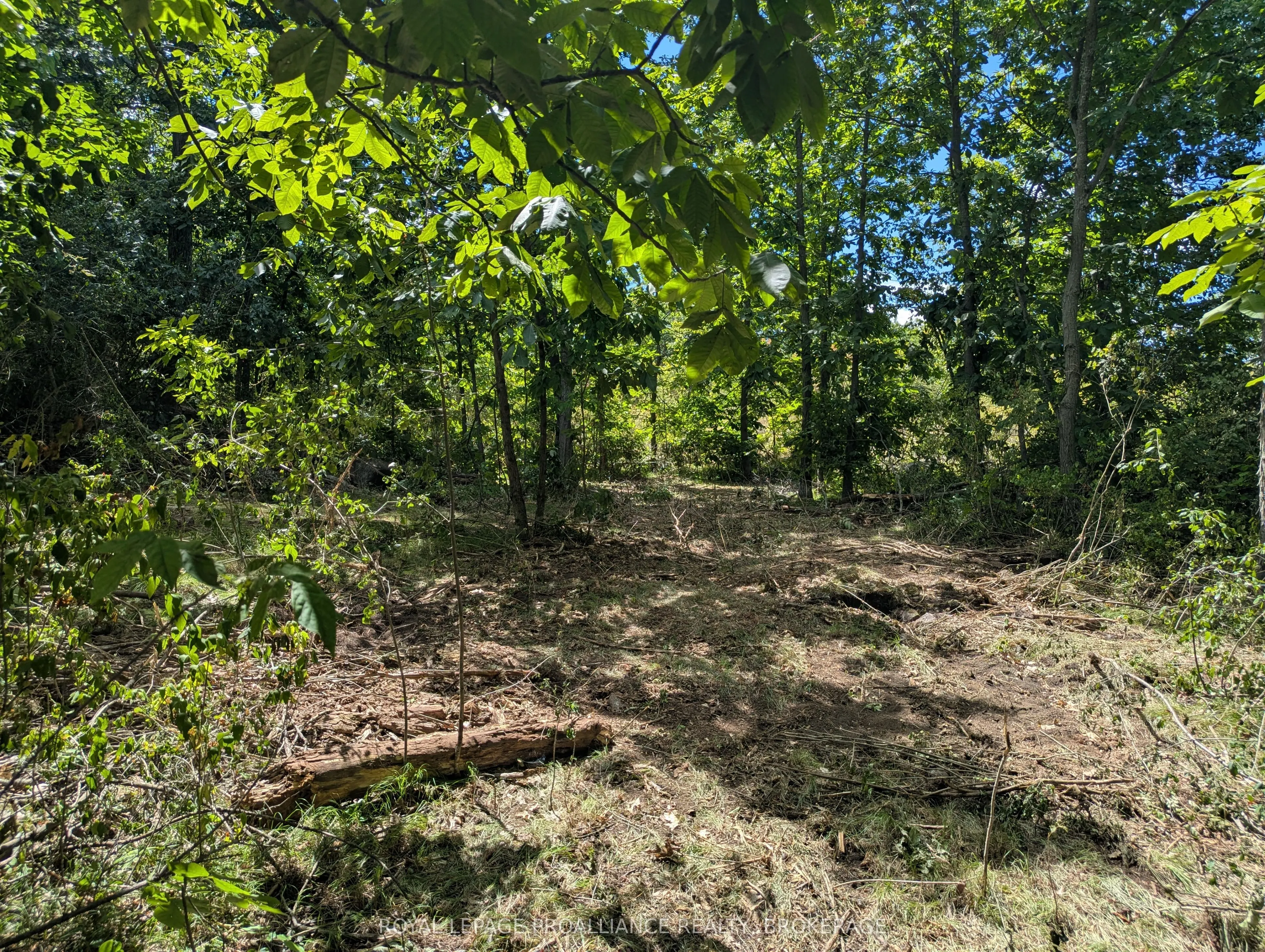 2621 4th Concession Road