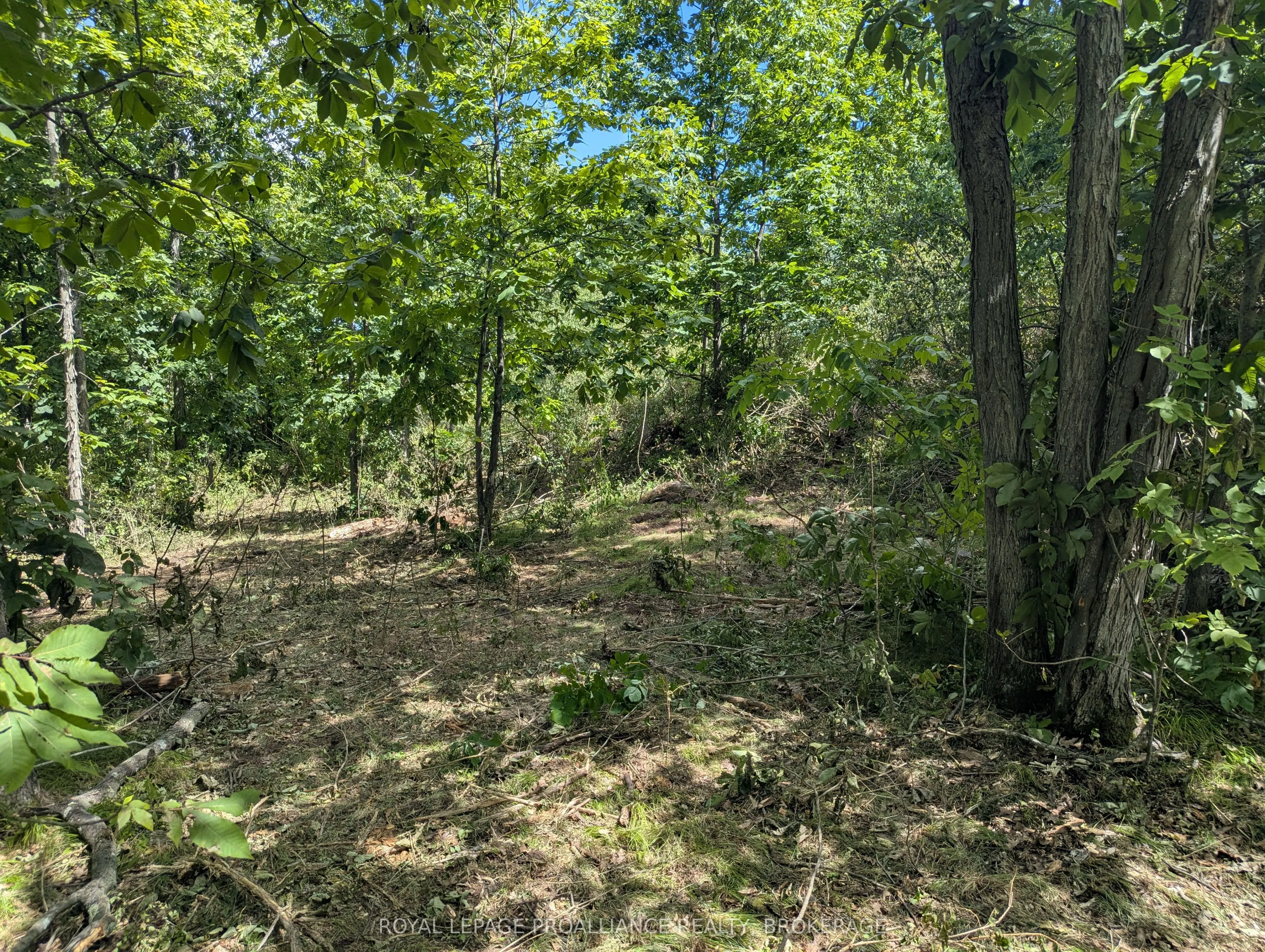 2621 4th Concession Road