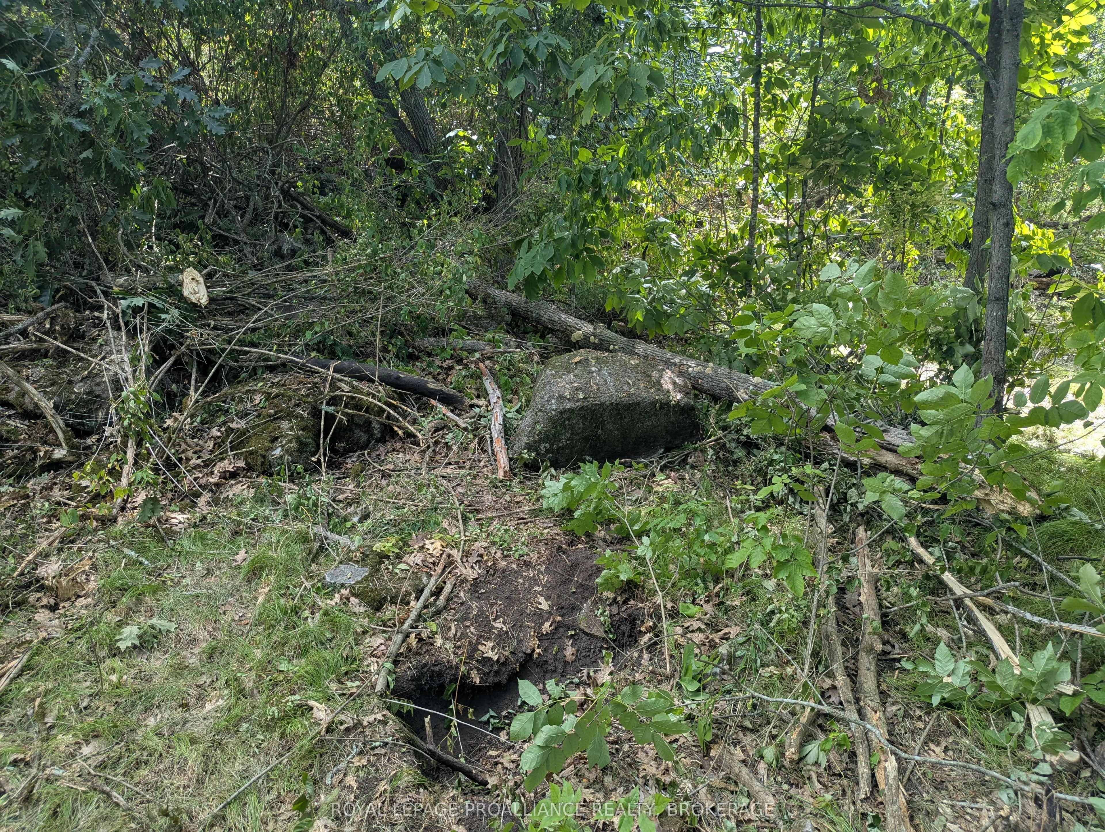 2621 4th Concession Road