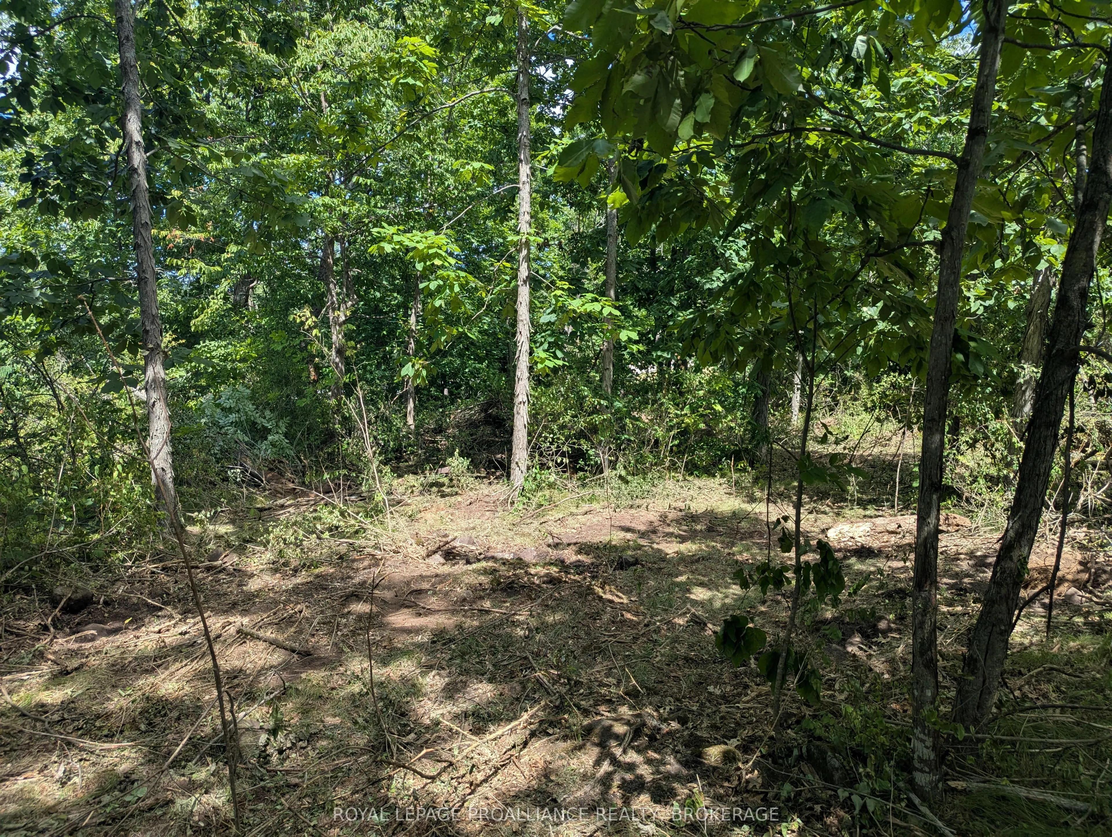 2621 4th Concession Road