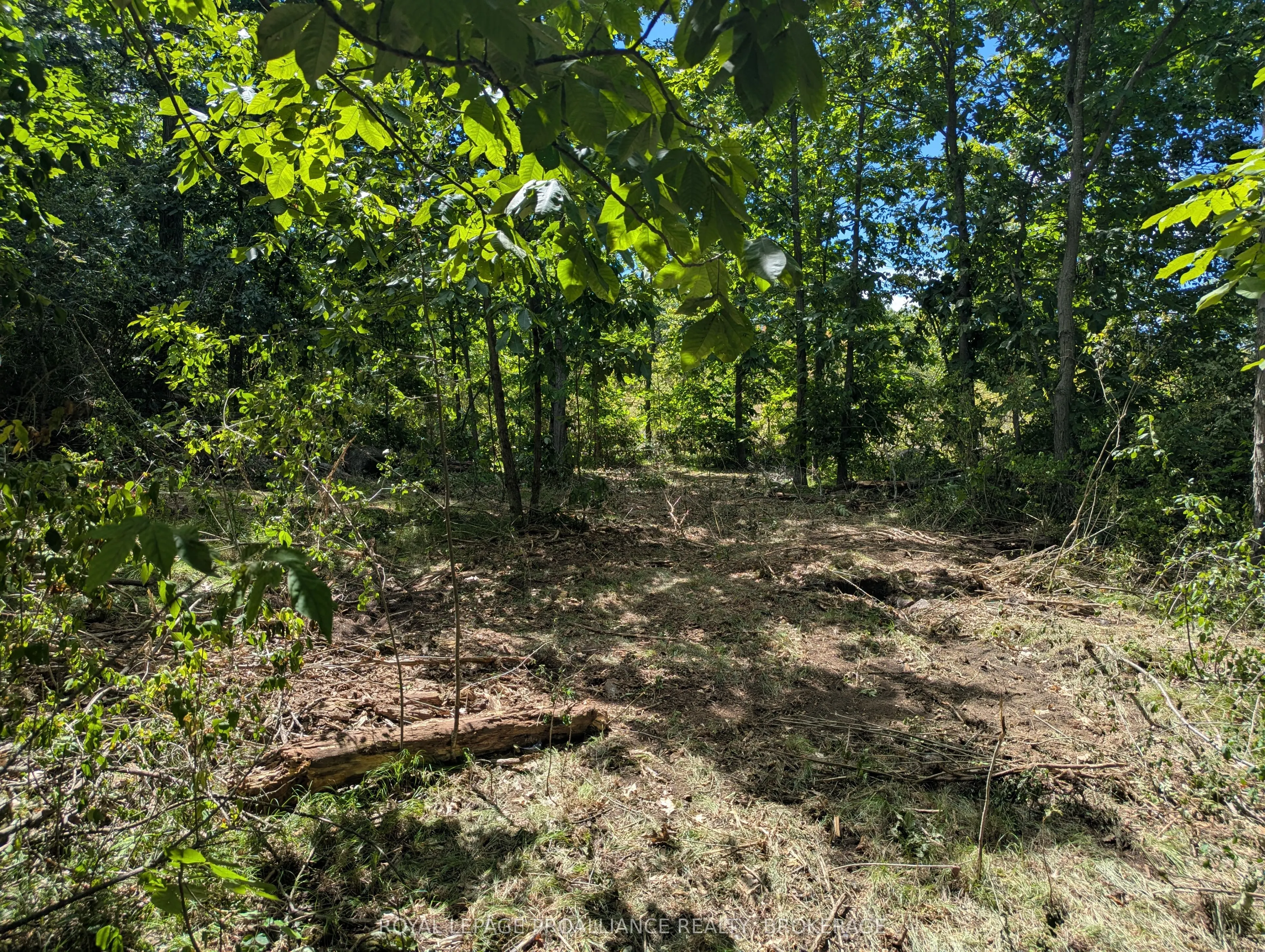 2621 4th Concession Road