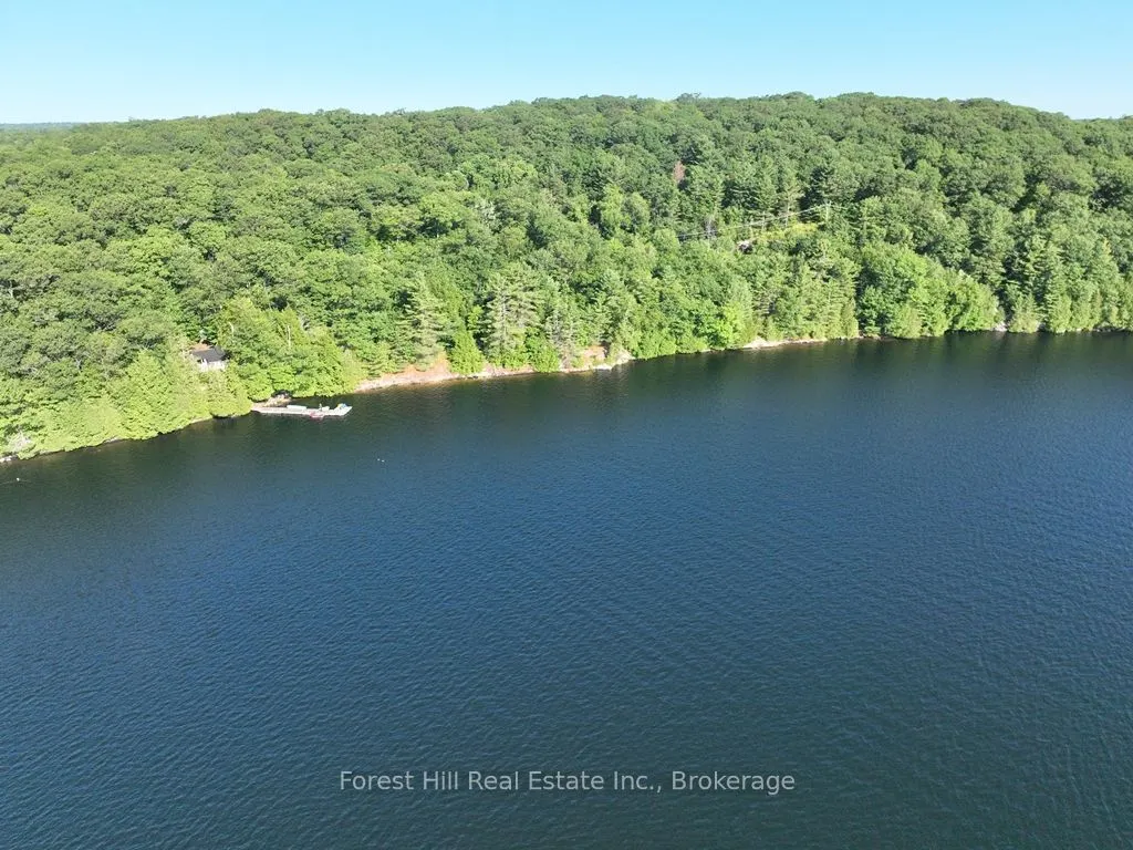 10689 Kawagama Lake WAO