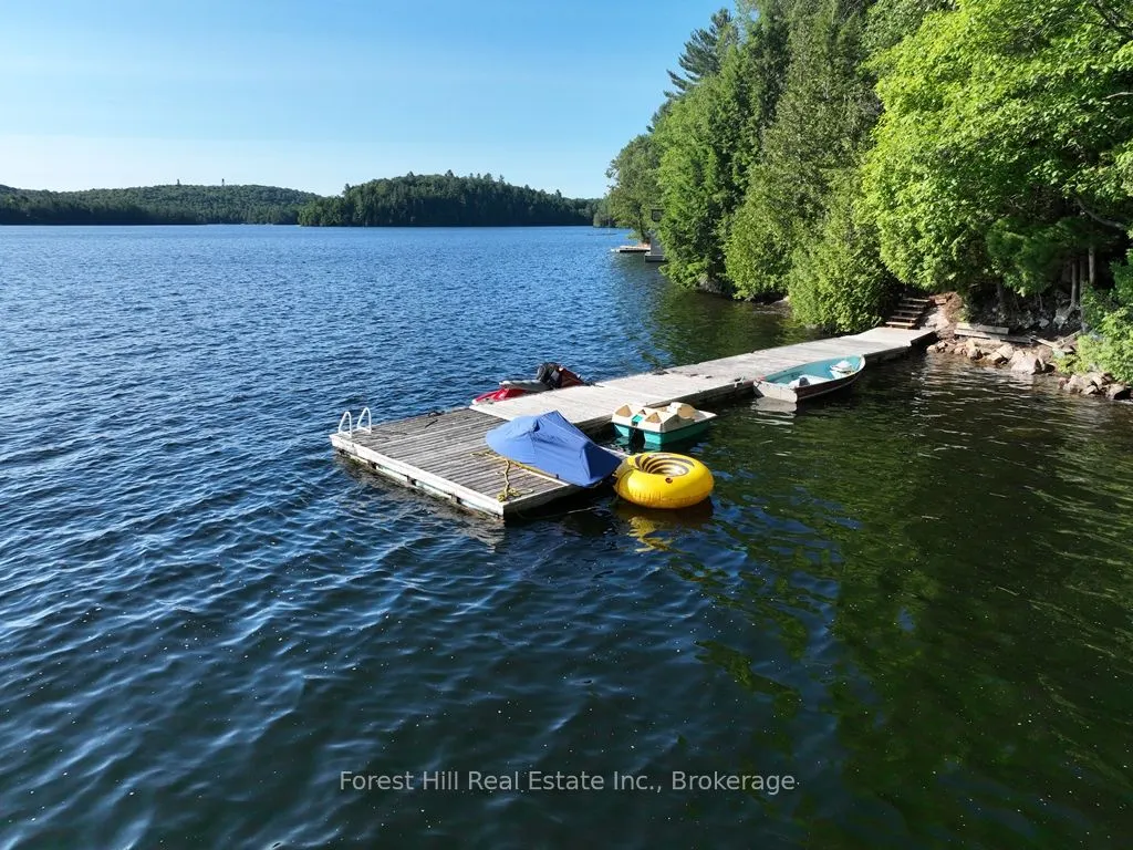 10689 Kawagama Lake WAO