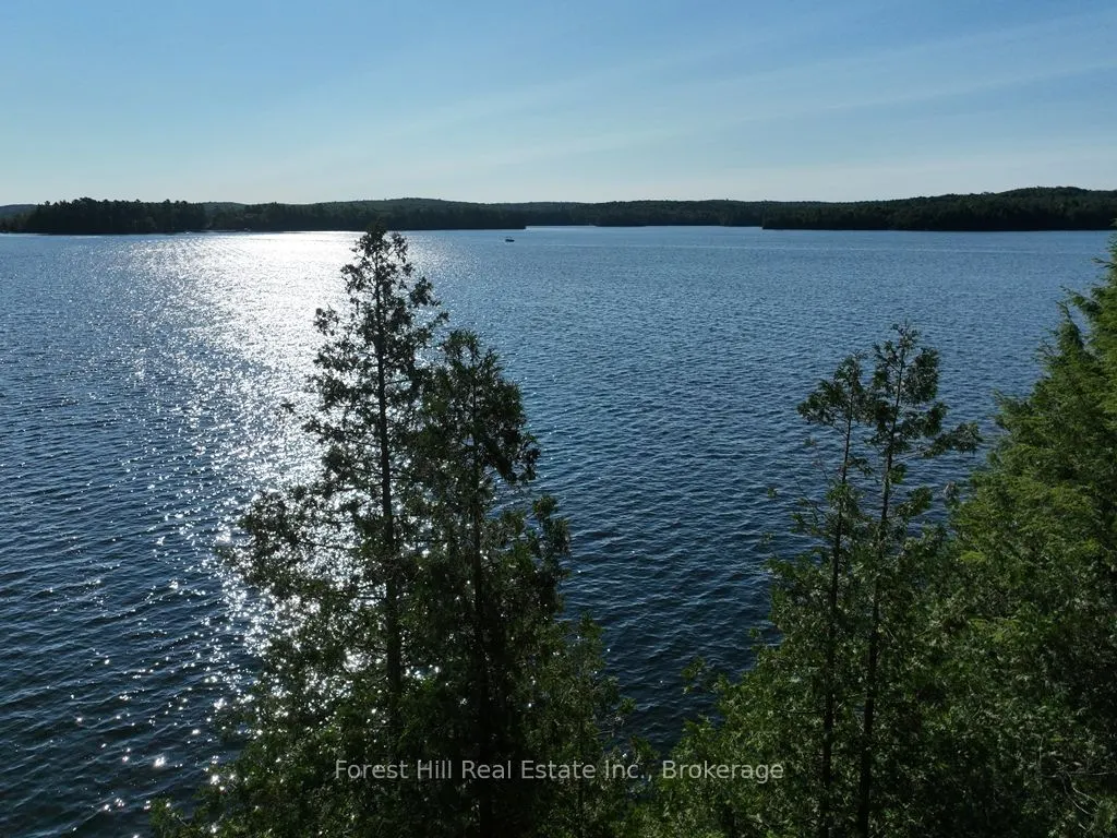 10689 Kawagama Lake WAO