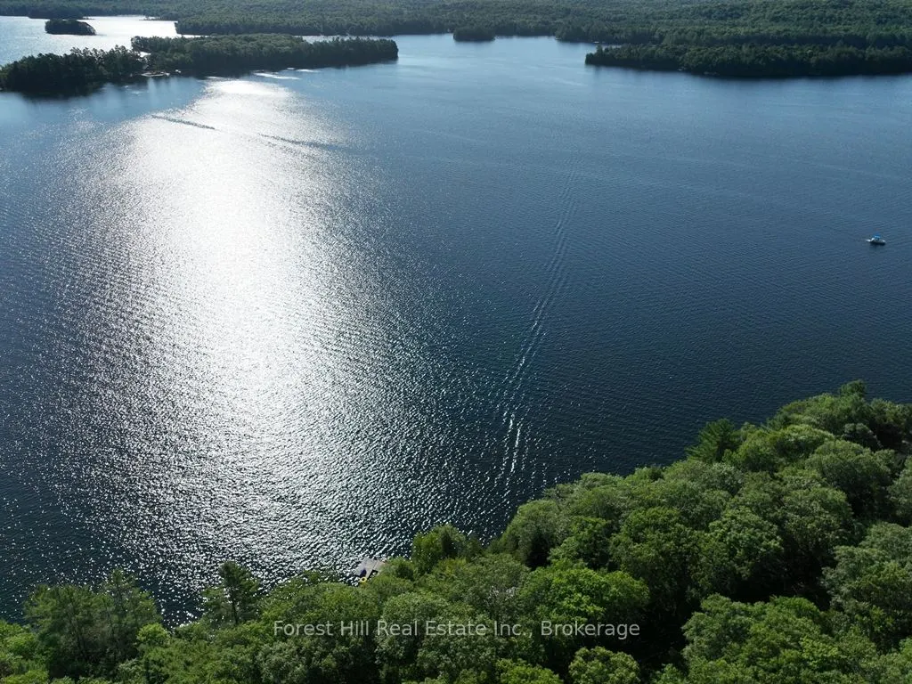 10689 Kawagama Lake WAO