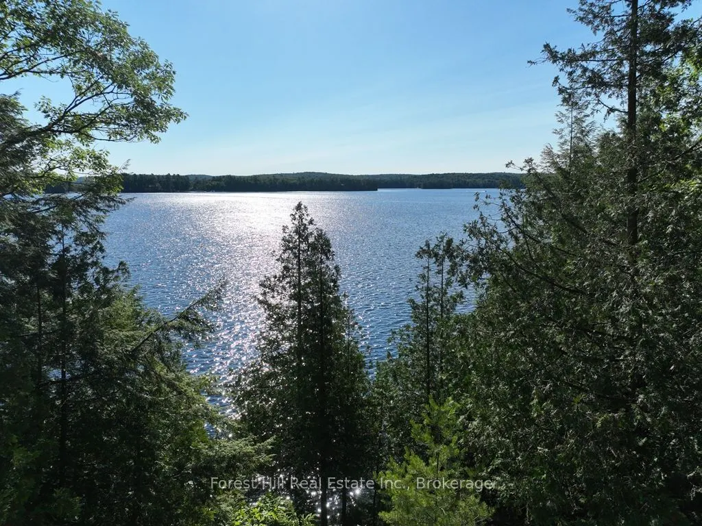 10689 Kawagama Lake WAO