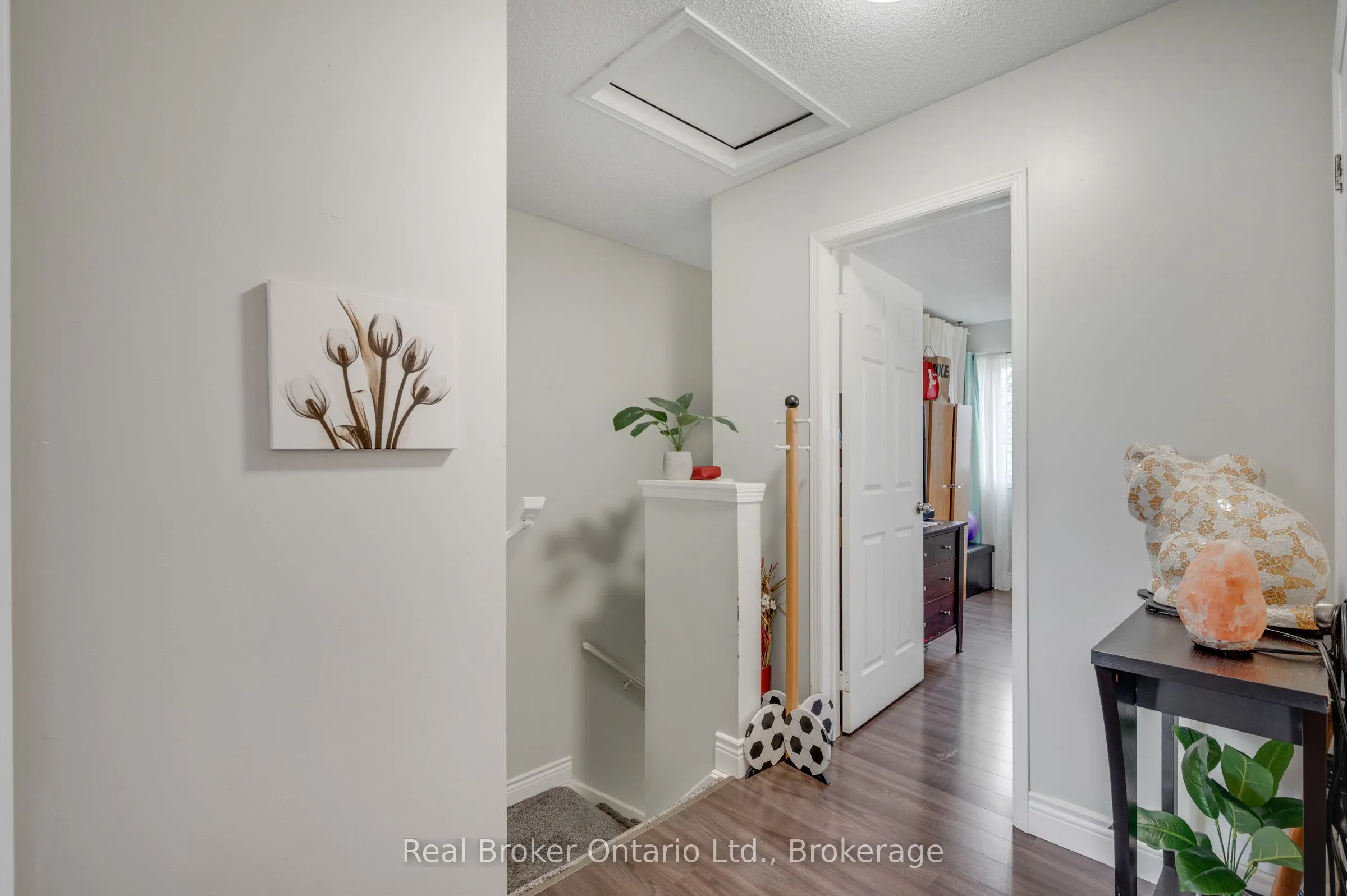 65 Dorchester Boulevard #5