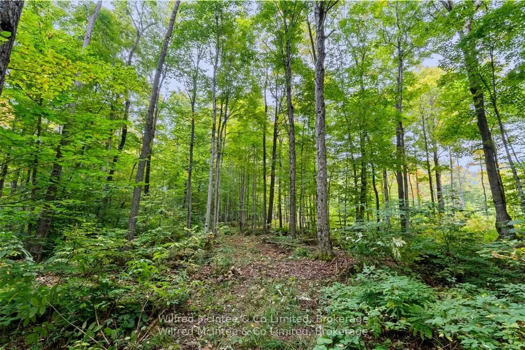 442289 Concession 21