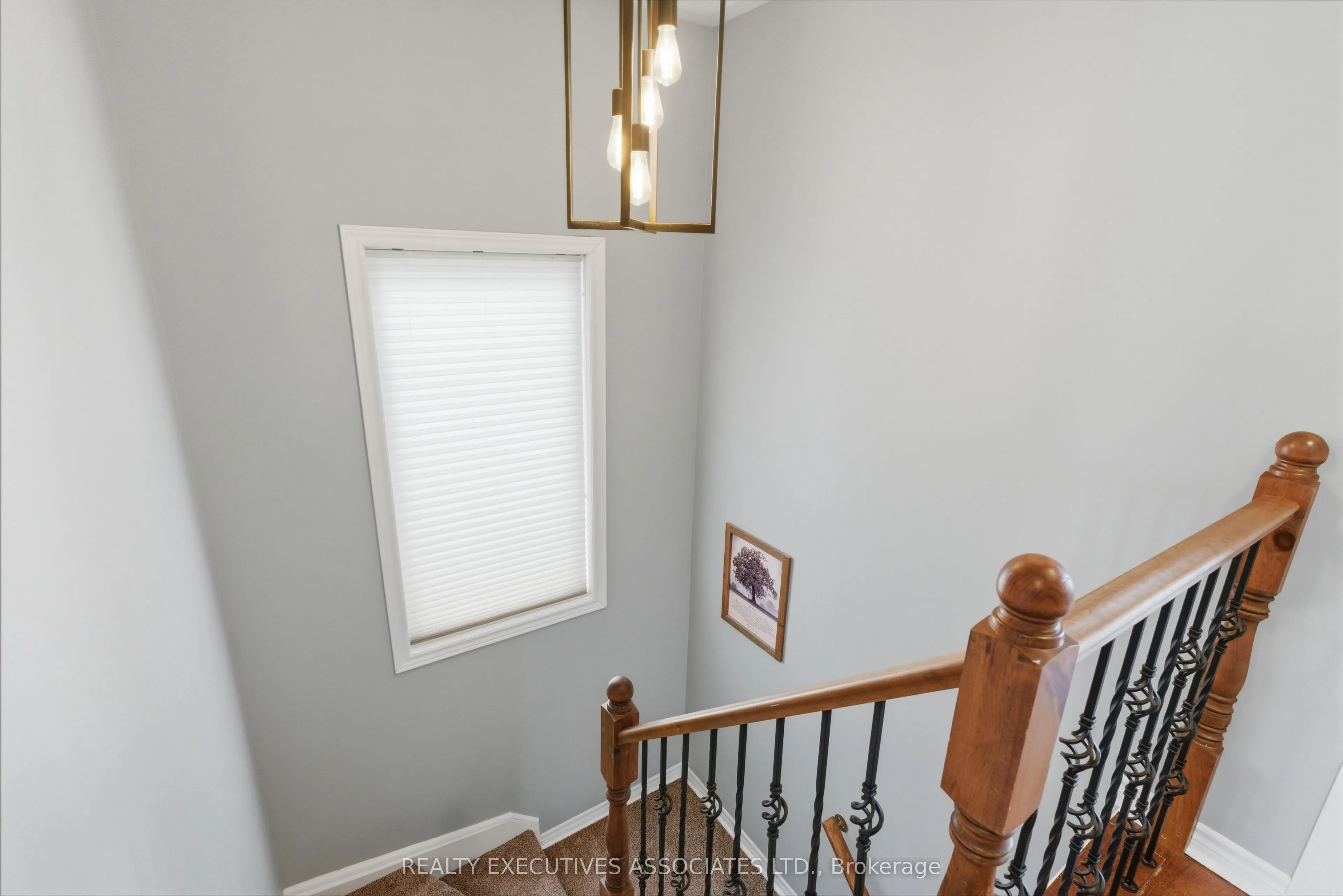 71 Truax Street