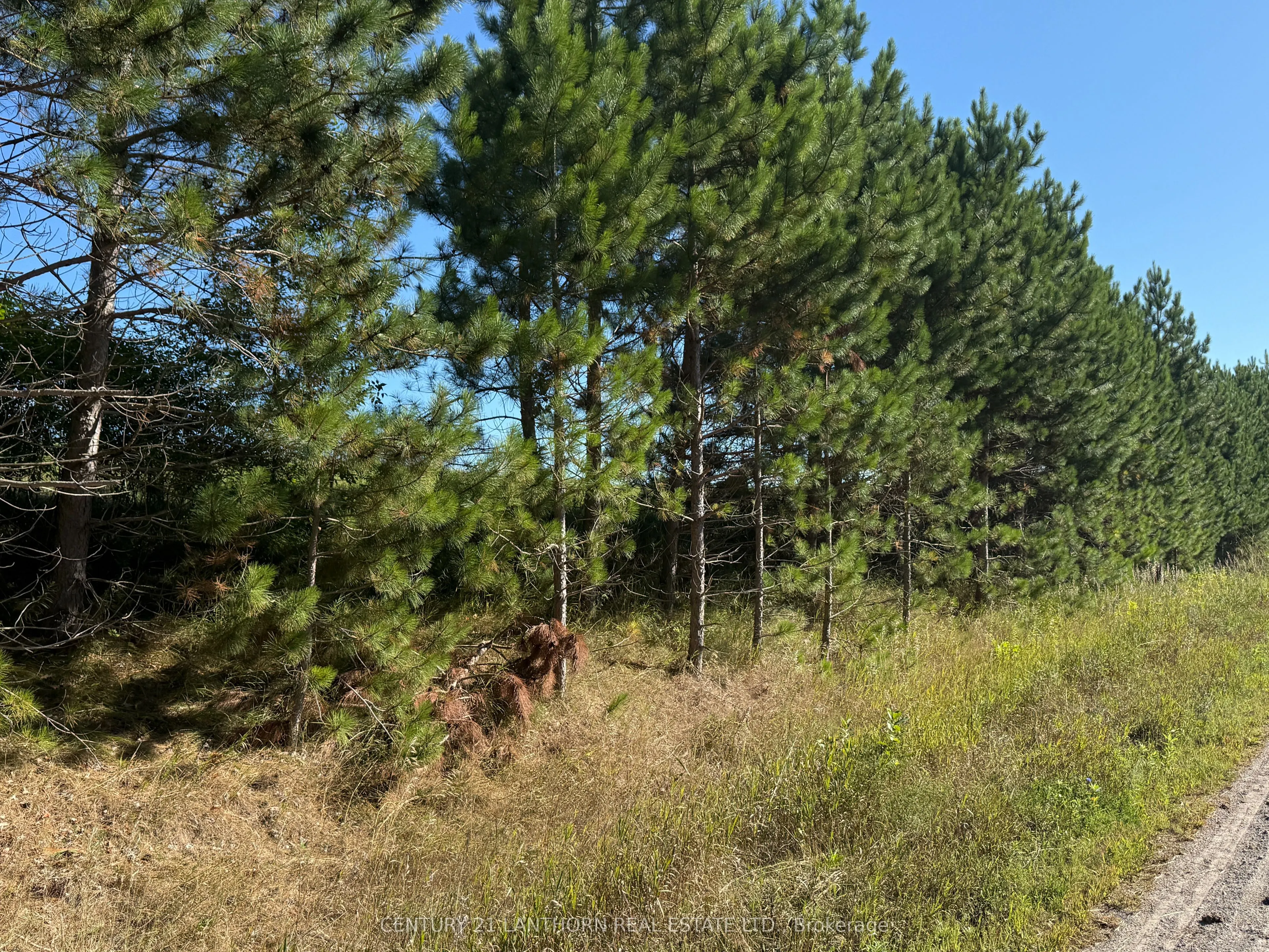 0 Deloro Road