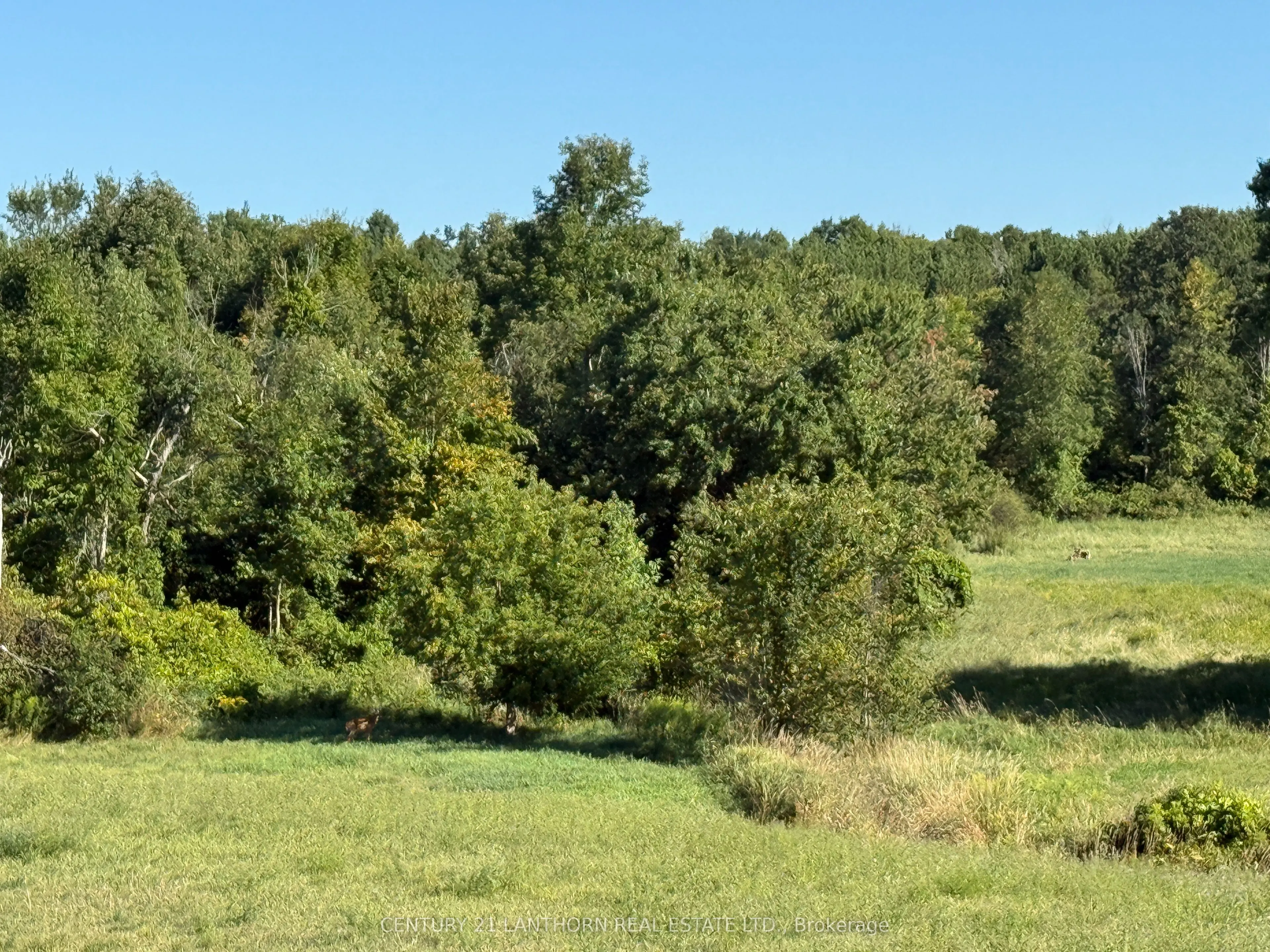 0 Deloro Road