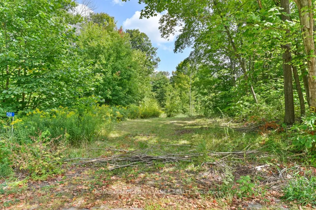 316 High Shore Road