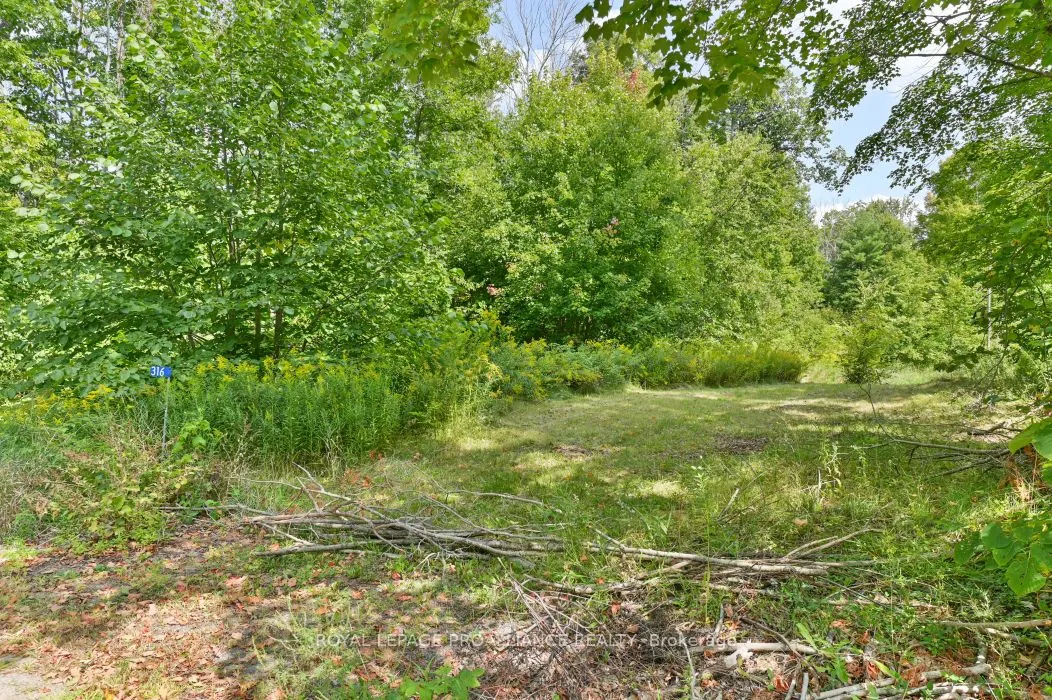 316 High Shore Road