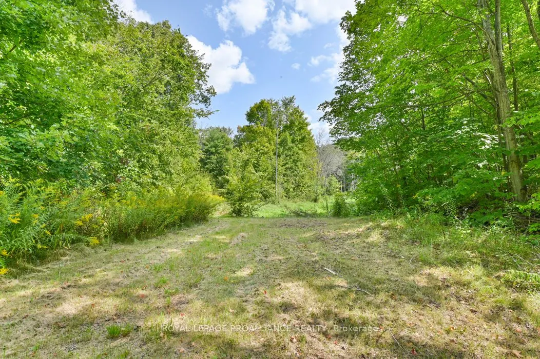 316 High Shore Road