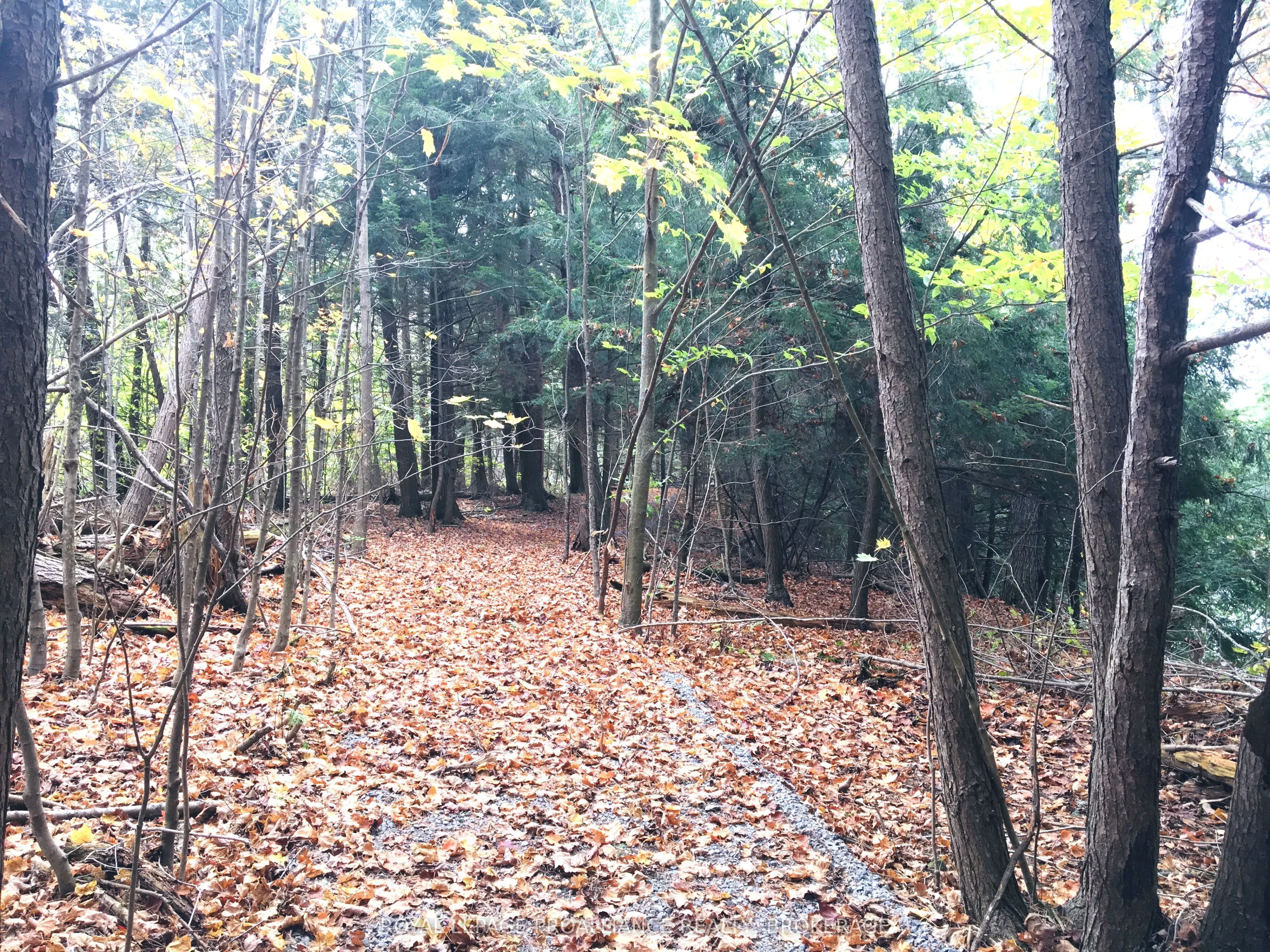 LOT 11 Long Reach Lane
