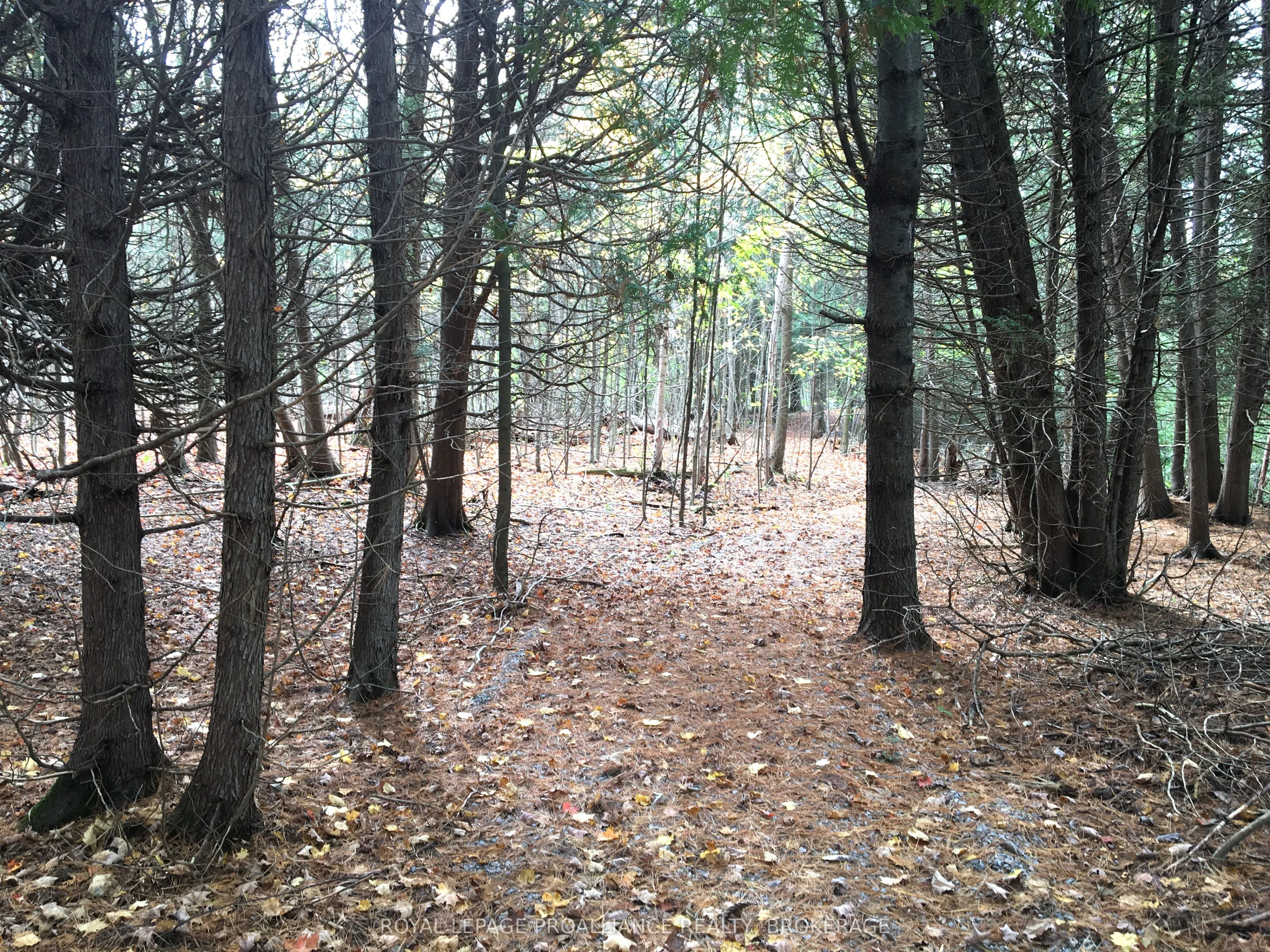 LOT 11 Long Reach Lane