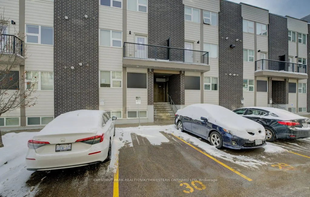 338 Albert Street #114