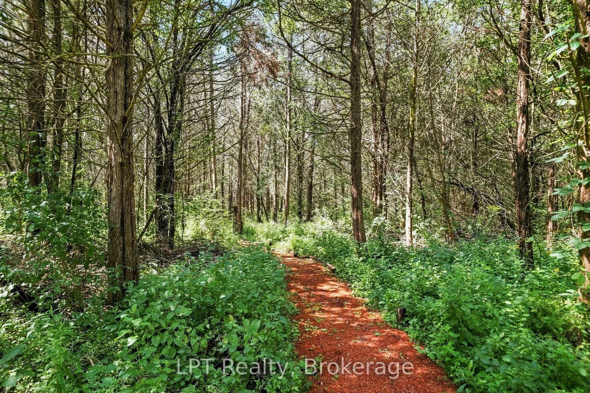 1207 County Rd 9 Street