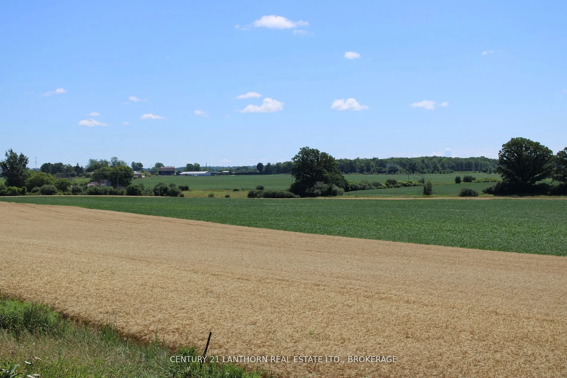 LT15-16 COUNTY ROAD 1 W