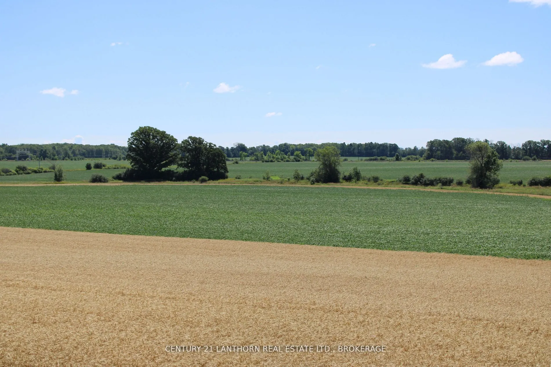 LT15-16 COUNTY ROAD 1 W