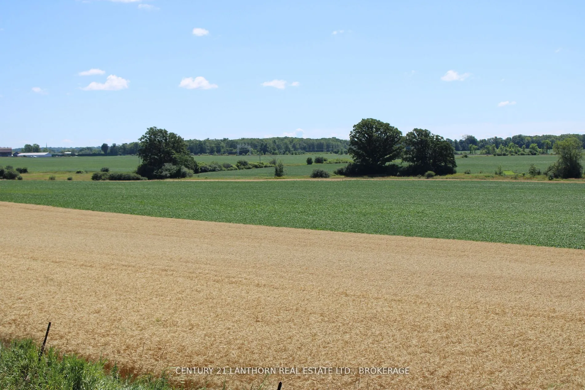 LT15-16 COUNTY ROAD 1 W