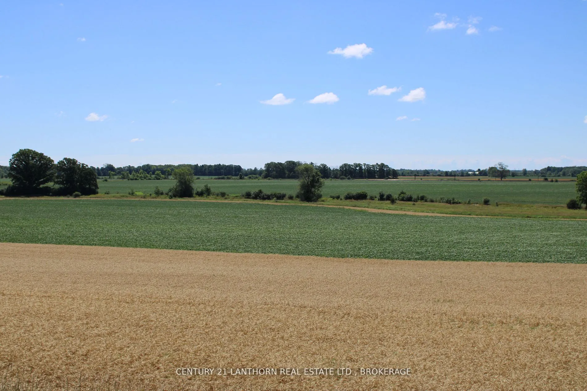 LT15-16 COUNTY ROAD 1 W