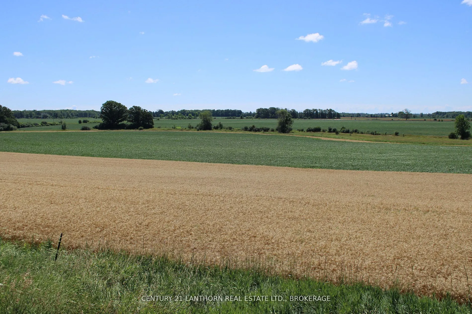 LT15-16 County Road 1 W