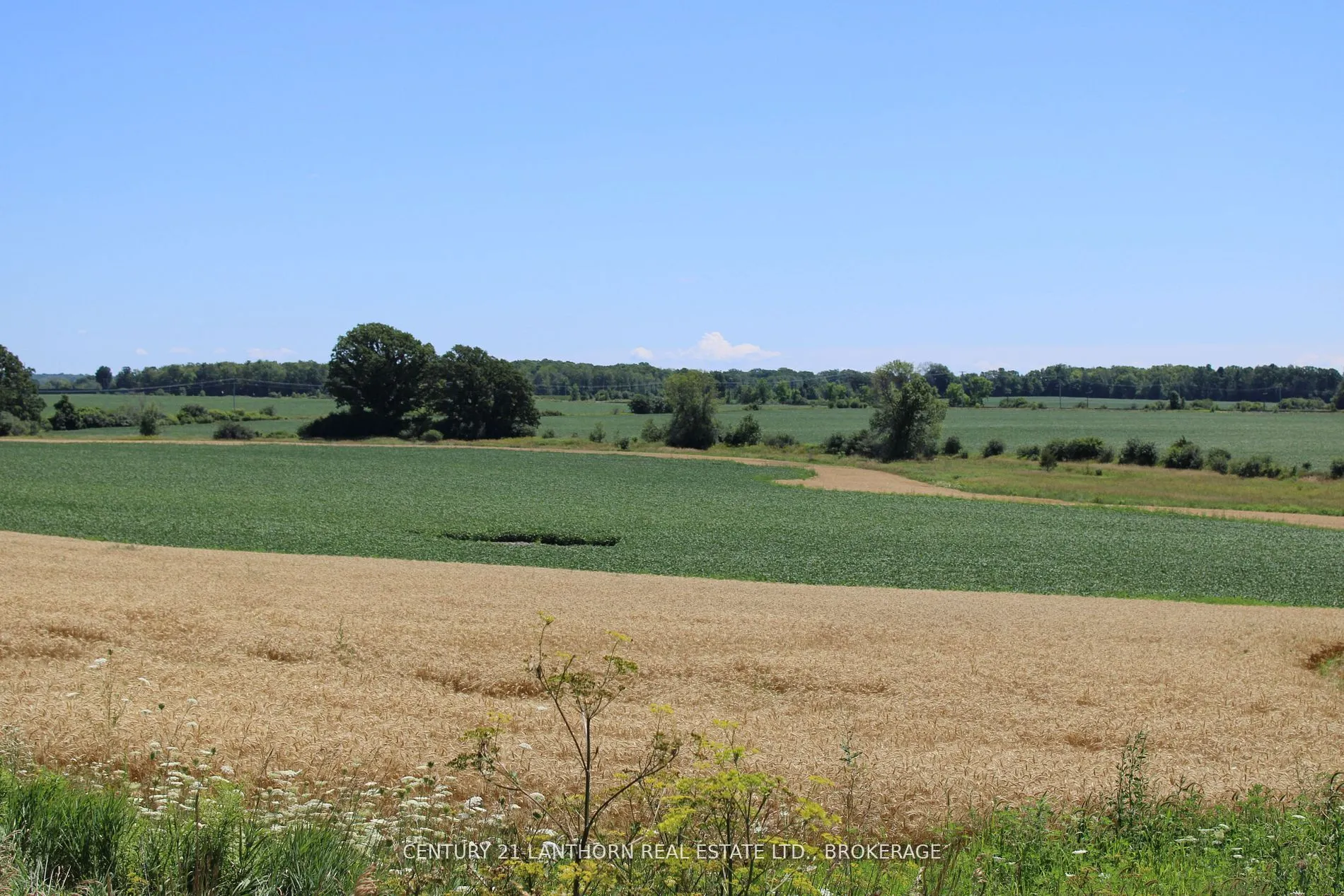 LT15-16 County Road 1 W