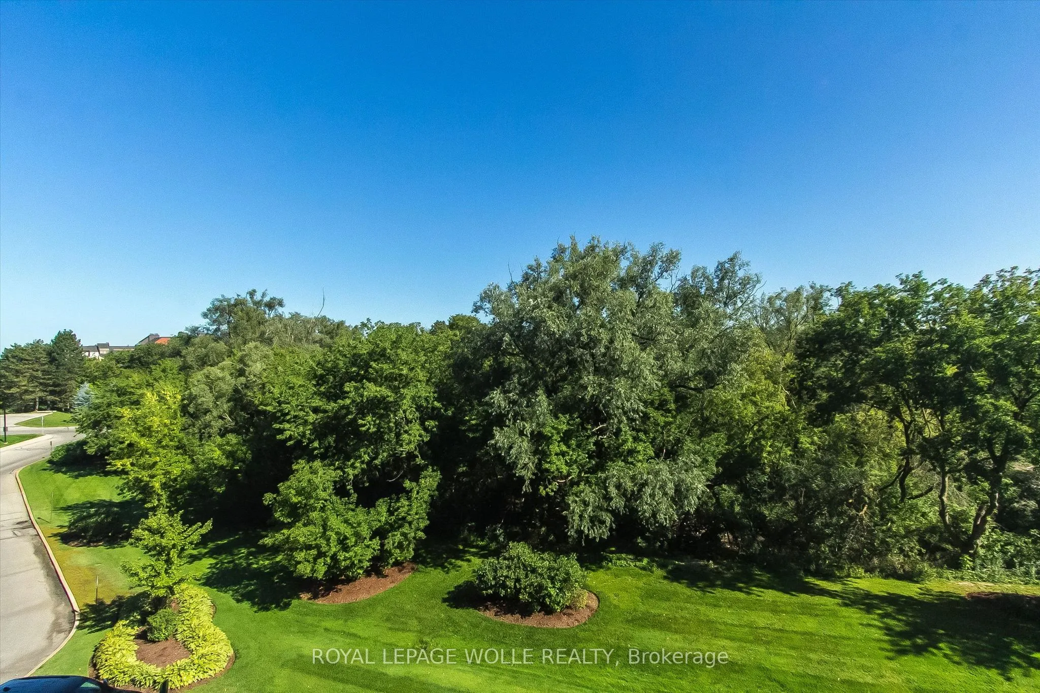 55 Blue Springs Drive #706