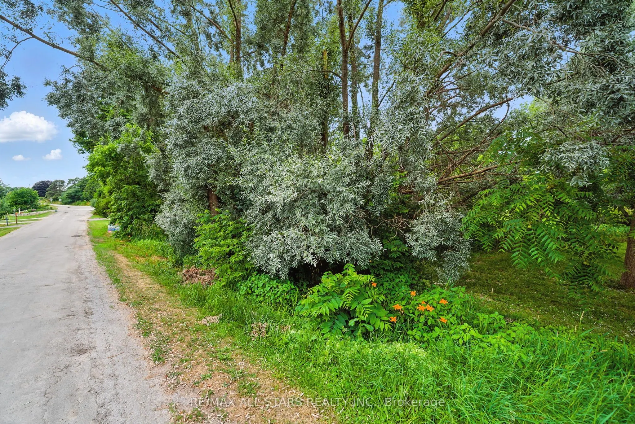 Lot 61 Summer Drive