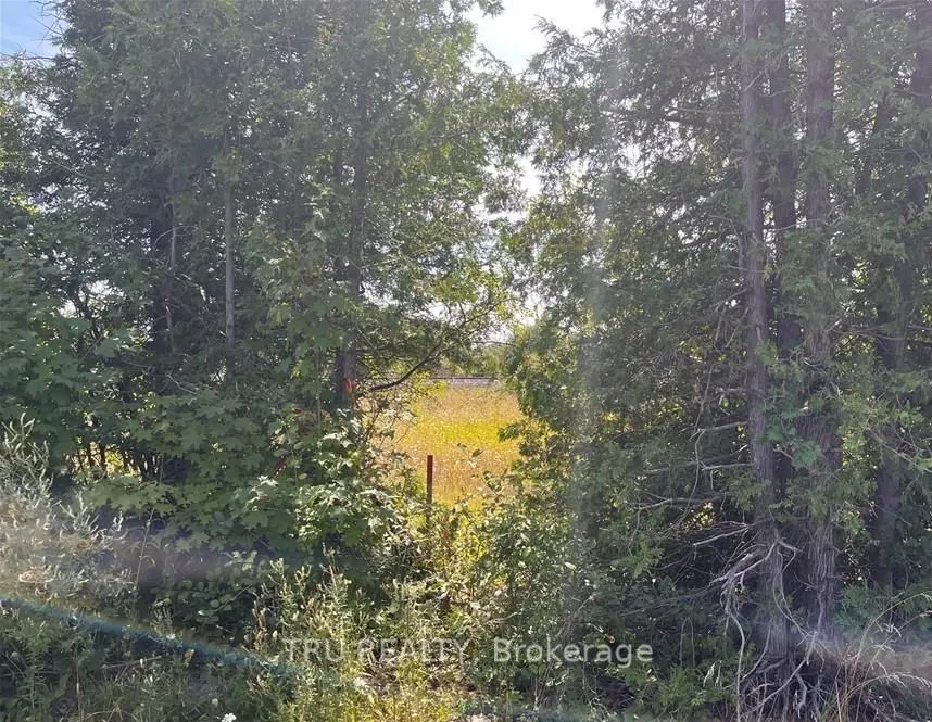 394 Scotch Line Road