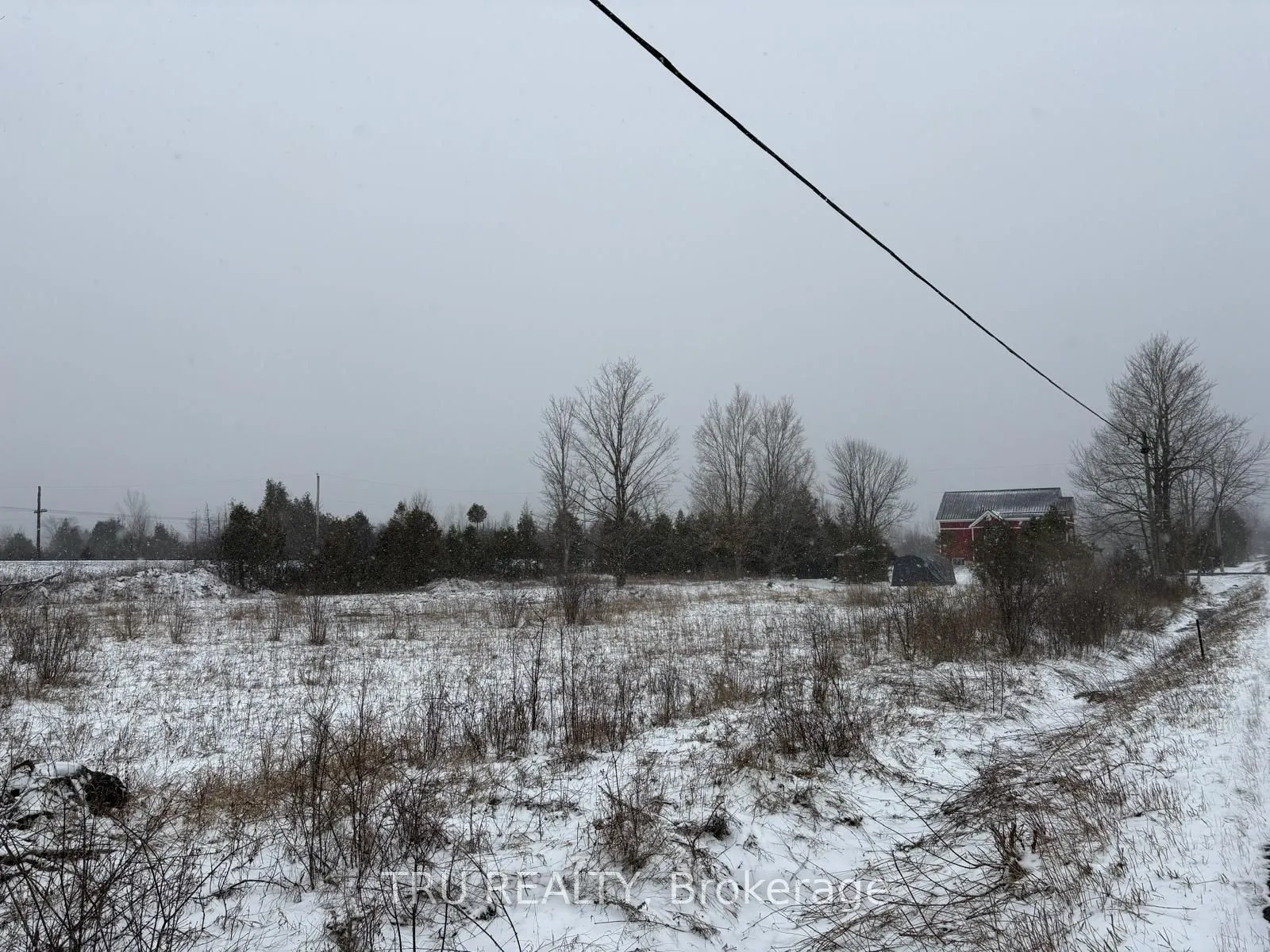 394 Scotch Line Road