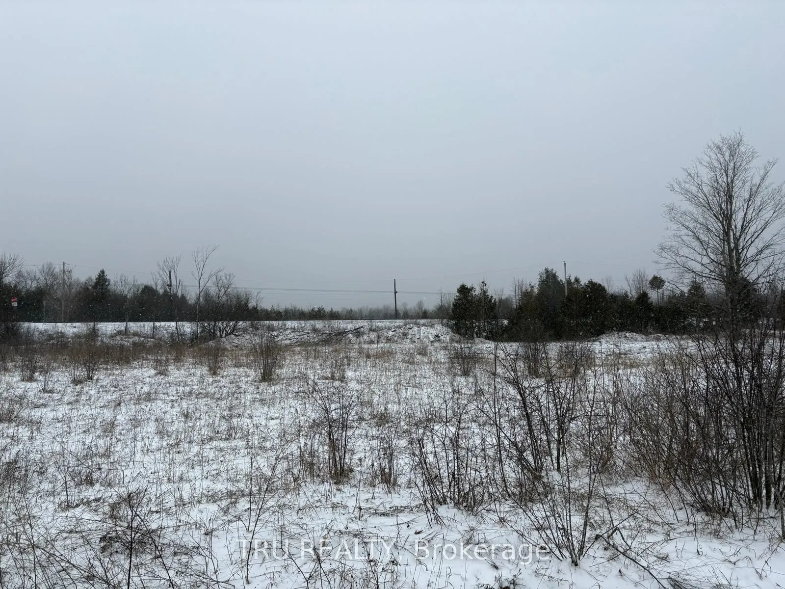 394 Scotch Line Road
