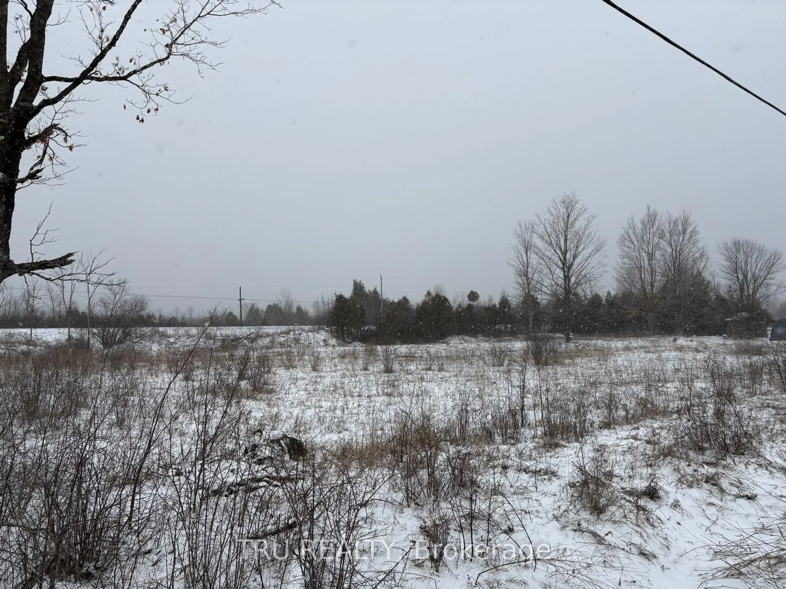 394 Scotch Line Road