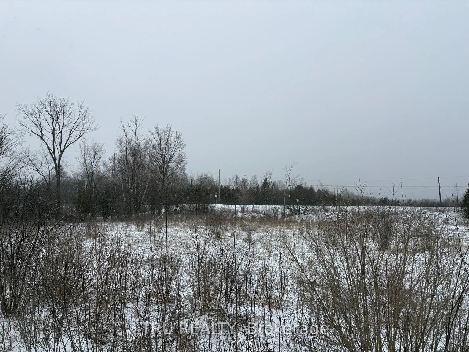 394 Scotch Line Road