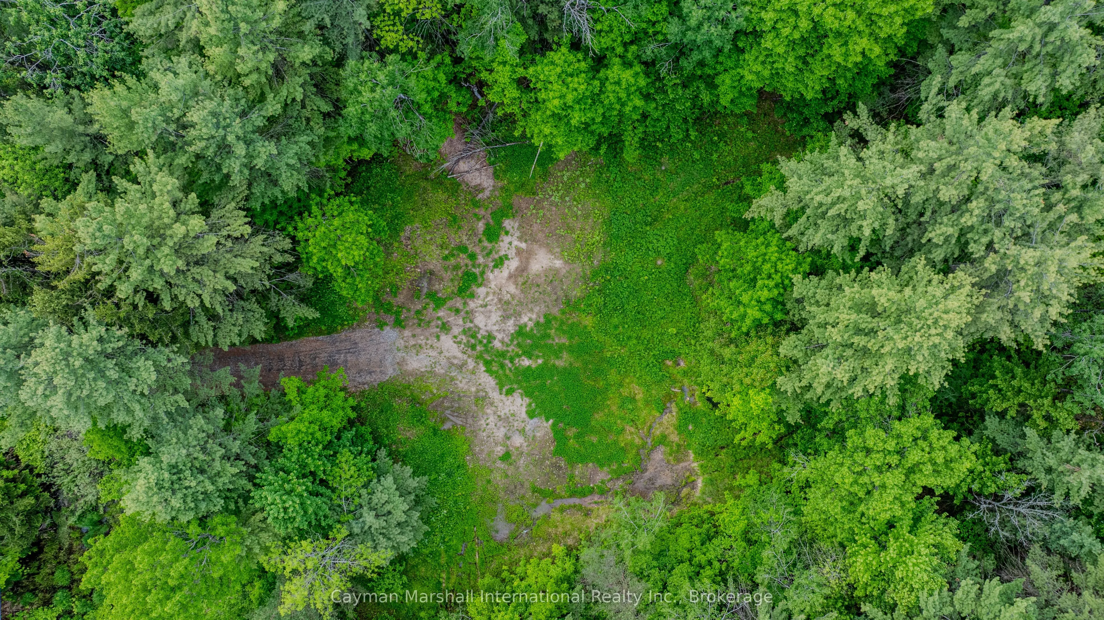 2682 Muskoka District 118 Road W