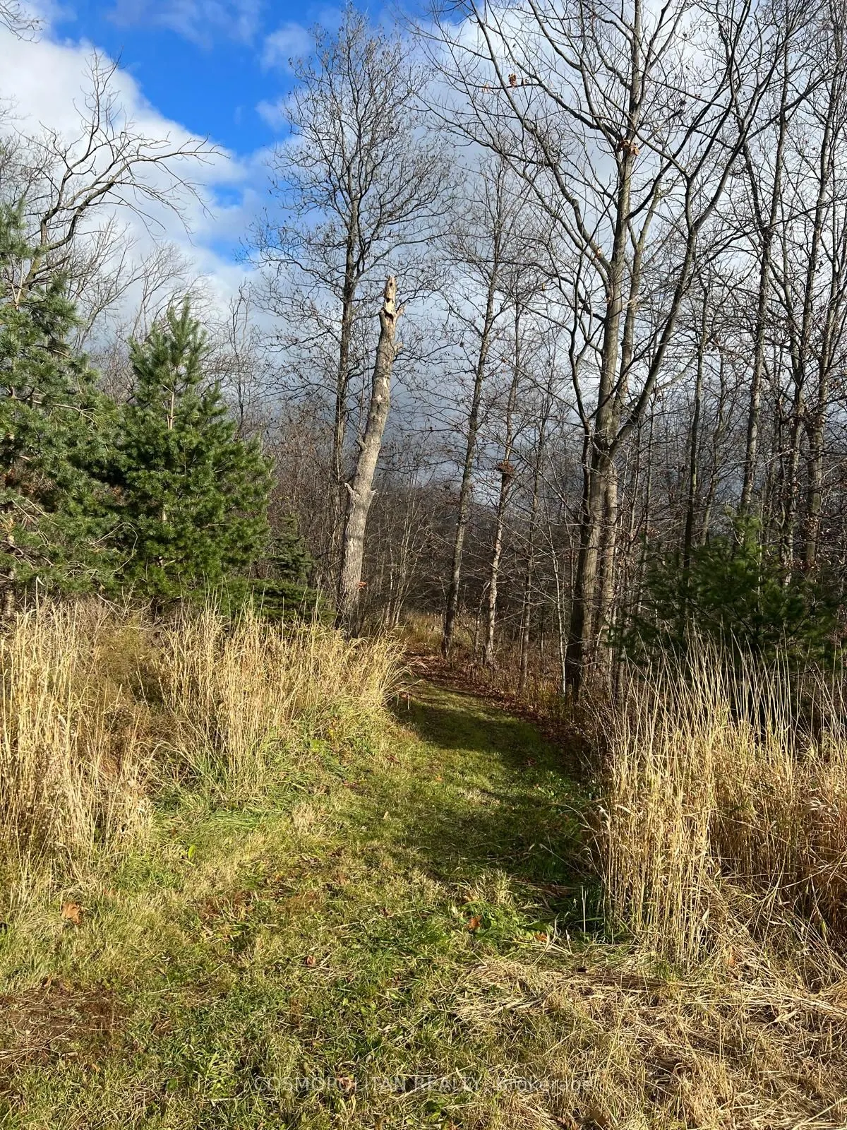 195 Woolverton Road