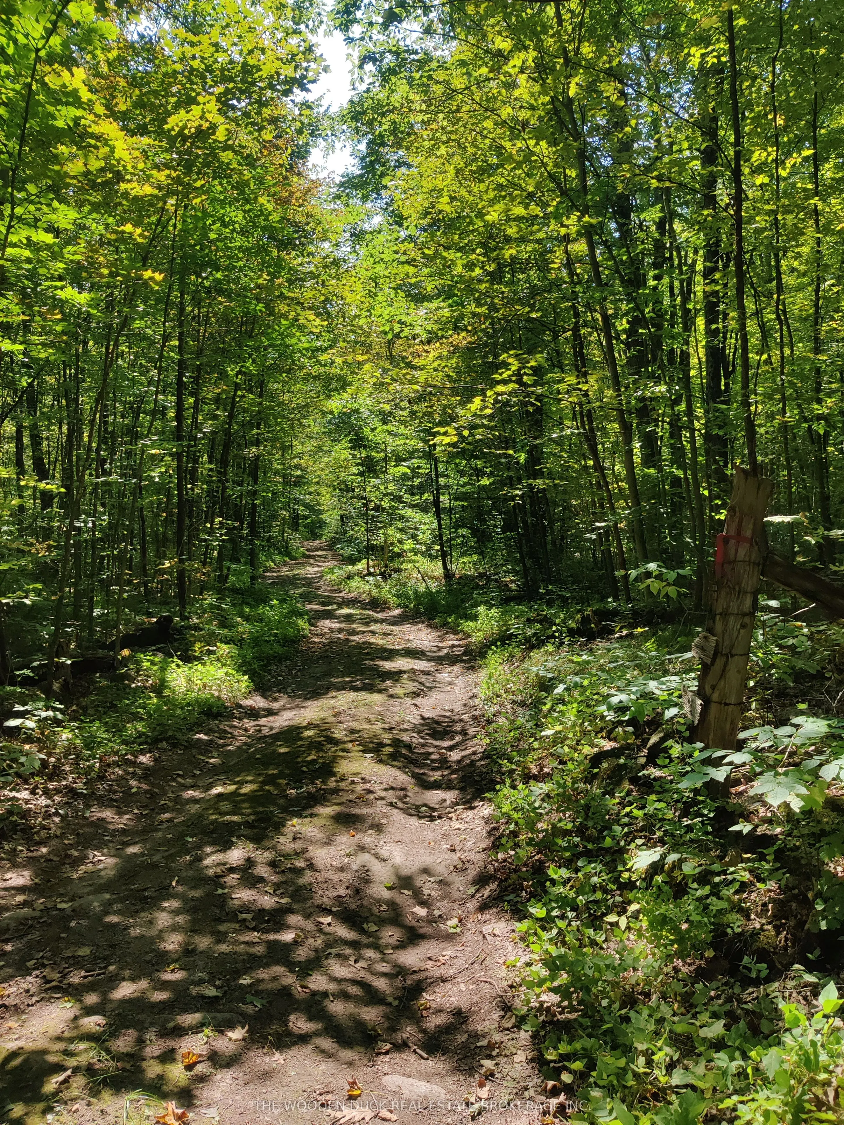 0East2 Road allowance Road