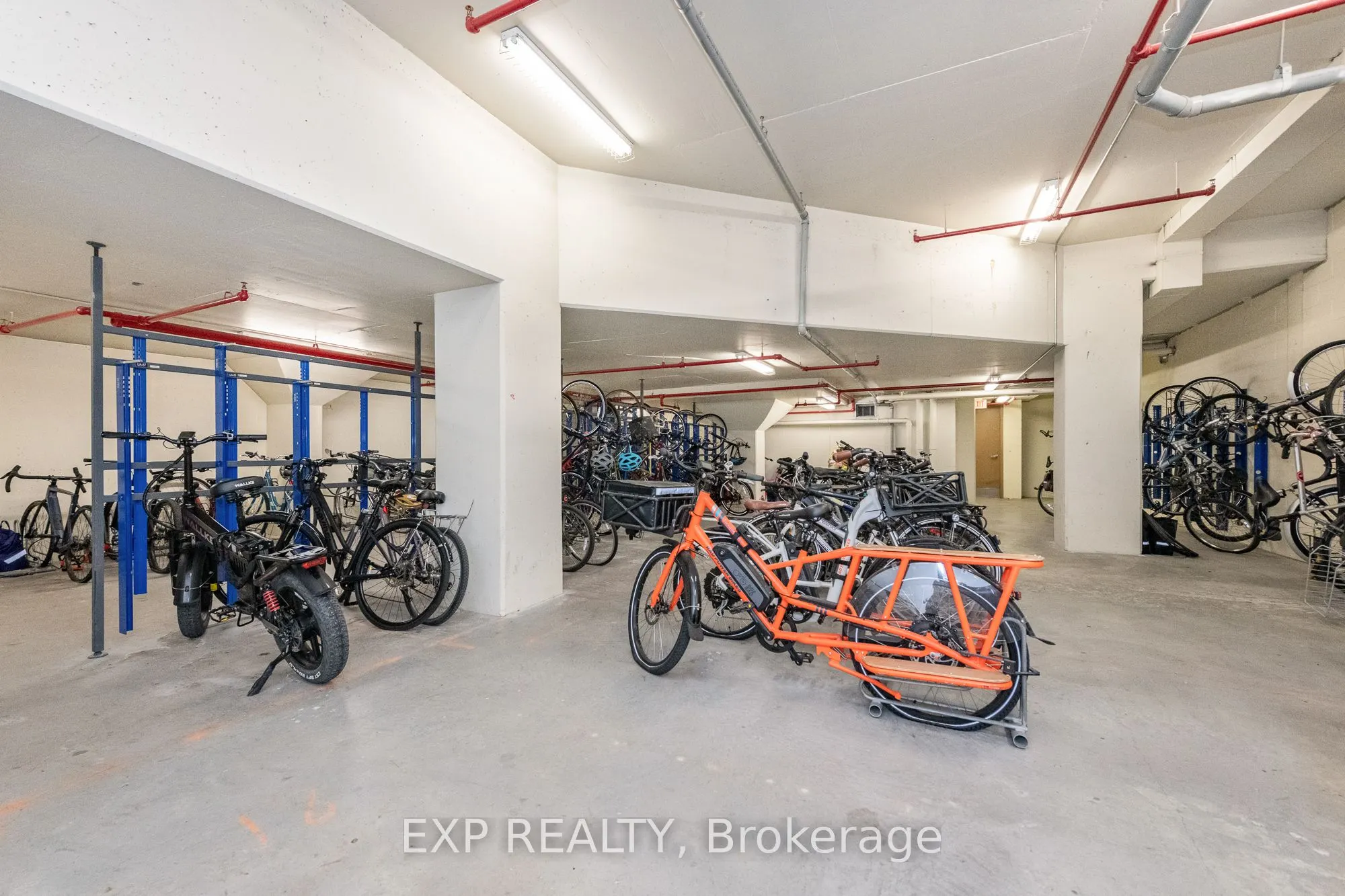 320 Mcleod Street #312
