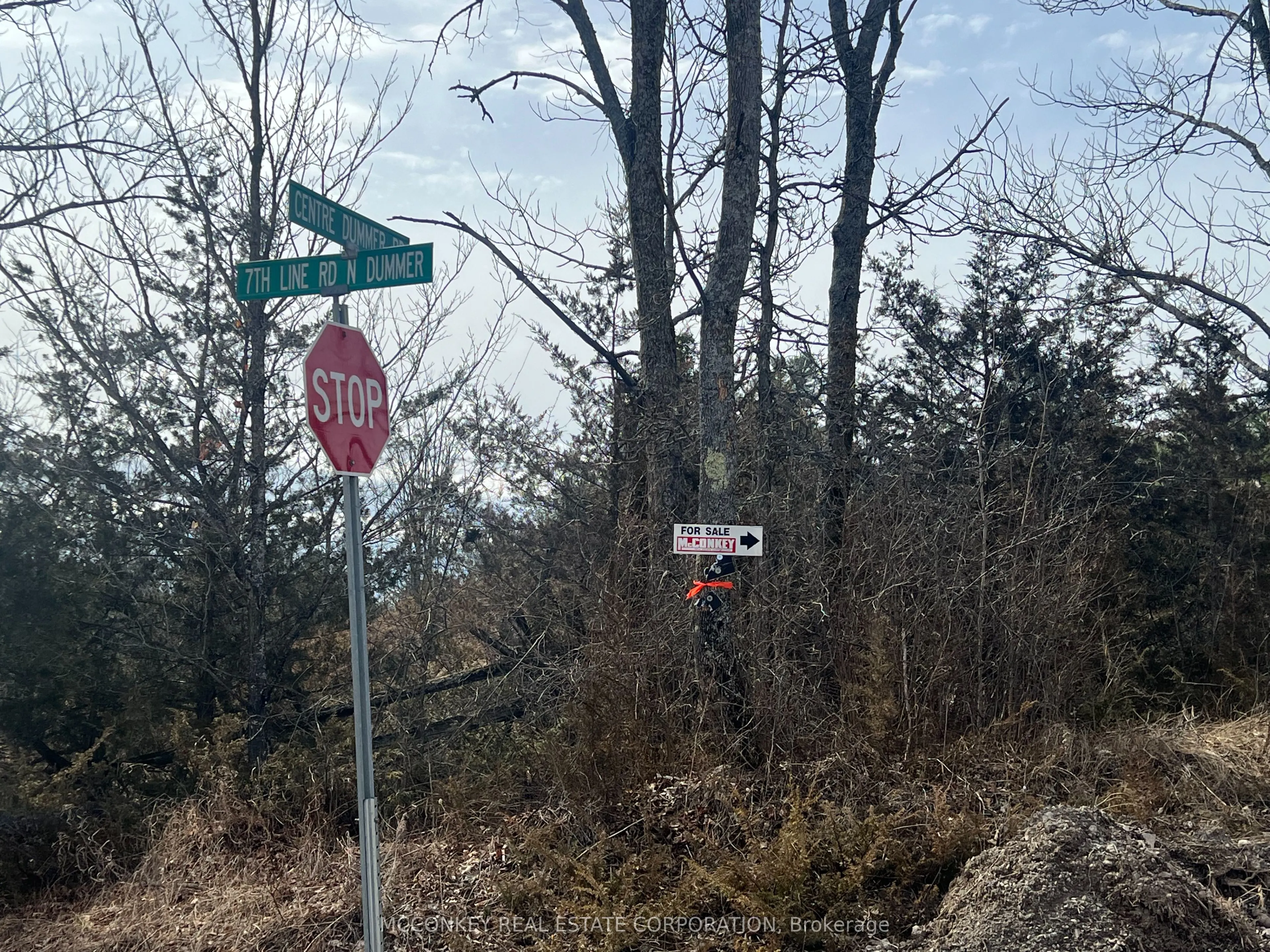 00 N. Dummer 7th Line Road