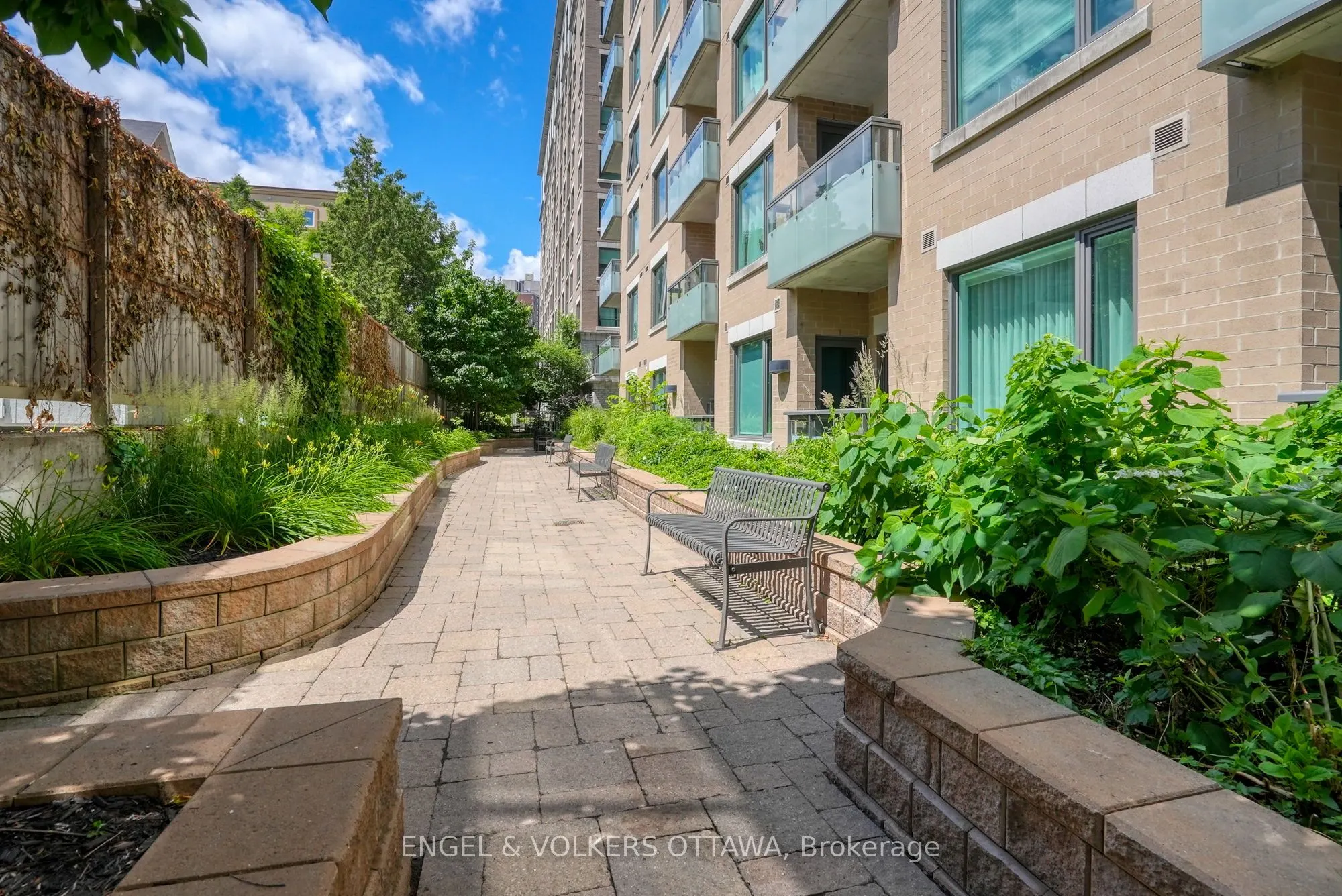 238 Besserer Street #811