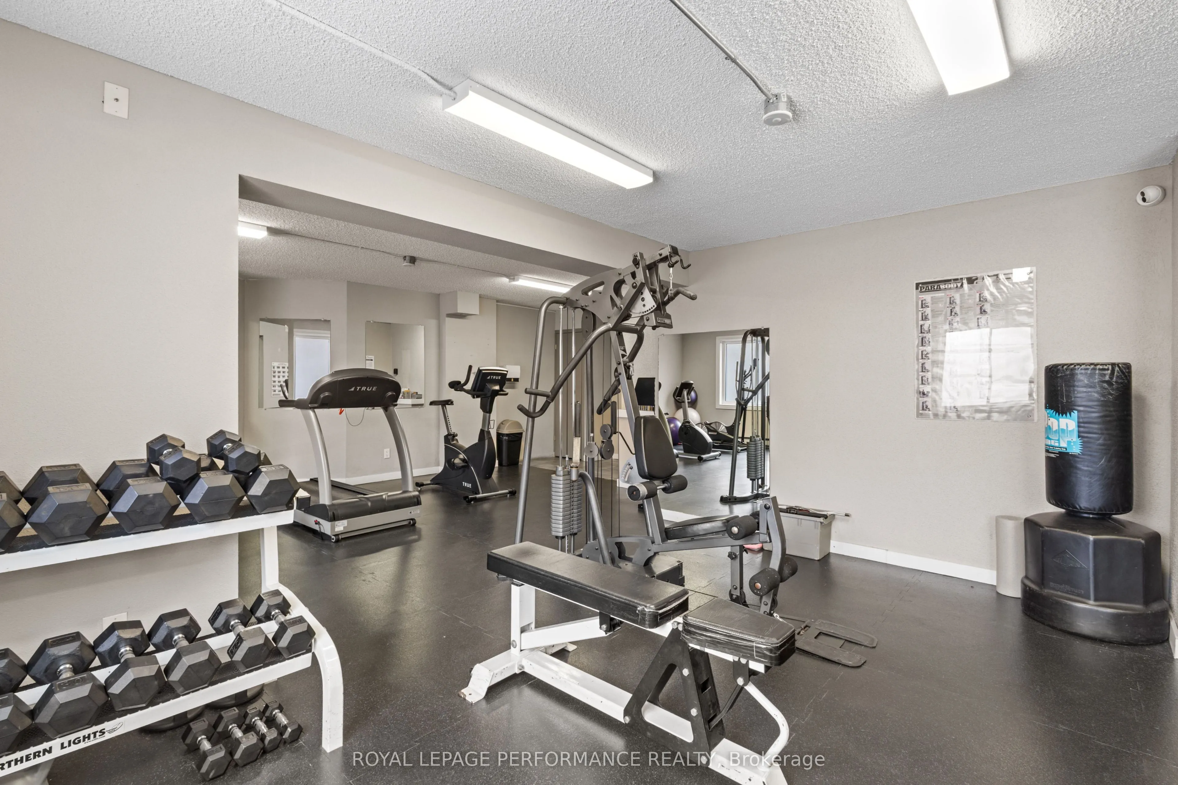 225 Alvin Road #609